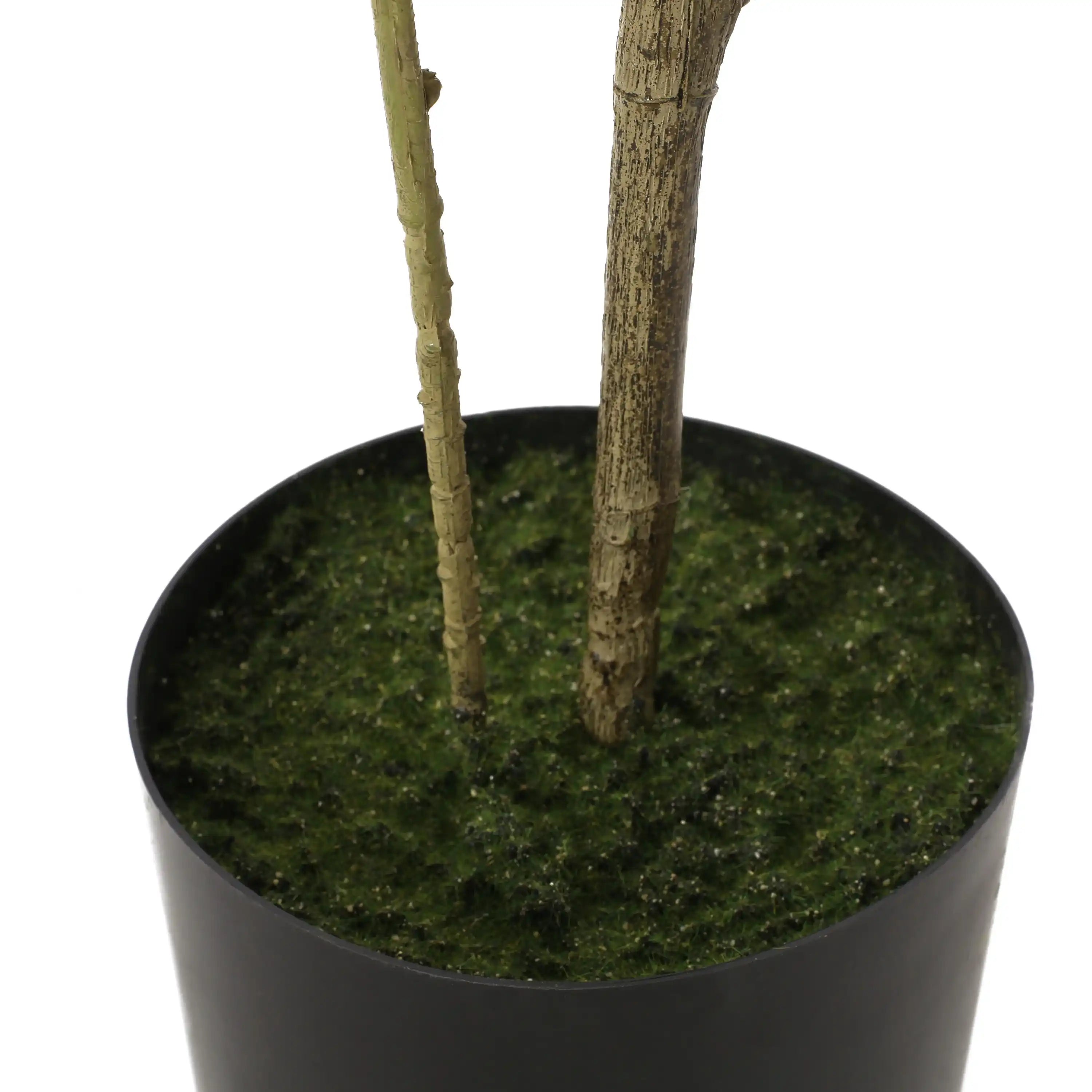 120CMARTIFICIAL PIERIS TREE - Best Buy Furniture