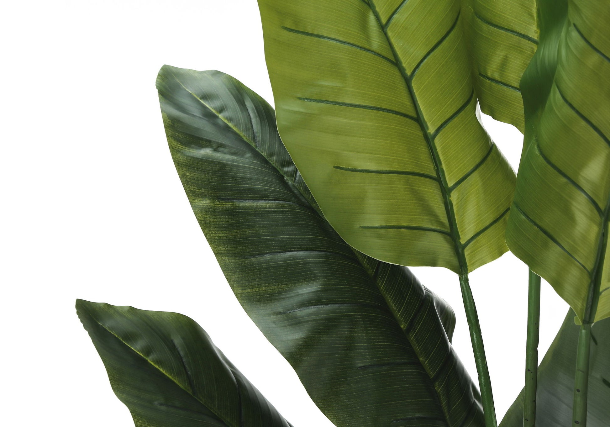 59" Tall, Artificial Plant, Strelitzia Tree, Indoor, Faux, Fake, Floor, Greenery, Potted, Real Touch, Decorative - Green / Black - Best Buy Furniture