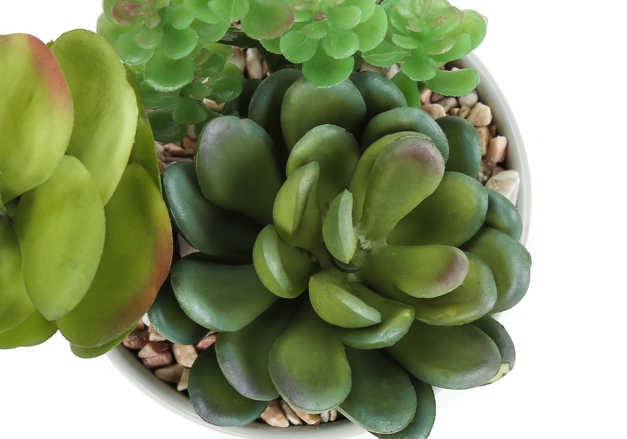 7" Tall, Artificial Plant, Succulent, Indoor, Faux, Fake, Table, Greenery, Potted, Decorative (Set of 2) - Green / White - Best Buy Furniture