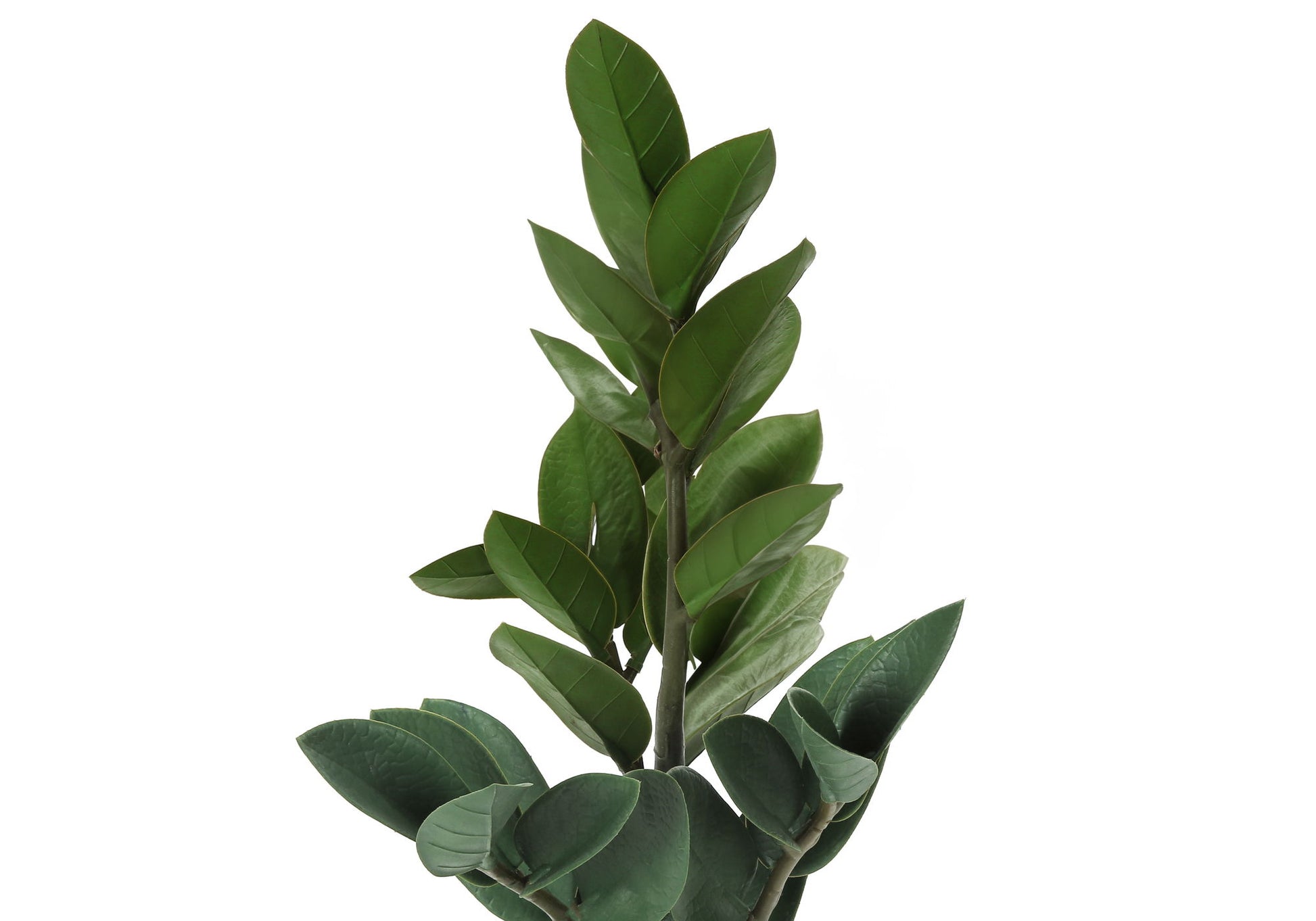20" Tall, Artificial Plant, Zz, Indoor, Faux, Fake, Table, Greenery, Potted, Real Touch, Decorative - Green / Gray - Best Buy Furniture