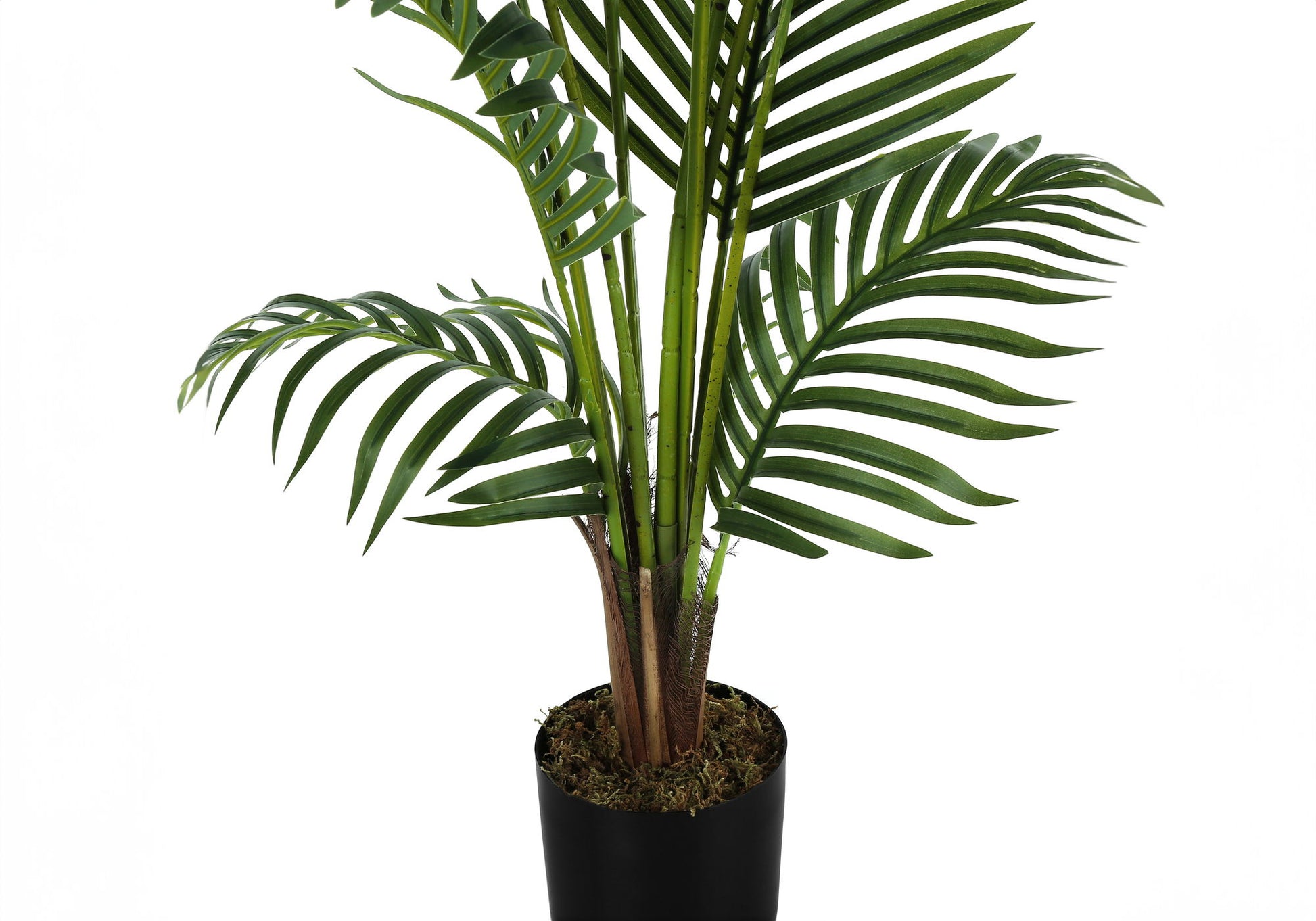 57" Tall, Artificial Plant, Palm Tree, Indoor, Faux, Fake, Floor, Greenery, Potted, Real Touch, Decorative - Green / Black - Best Buy Furniture
