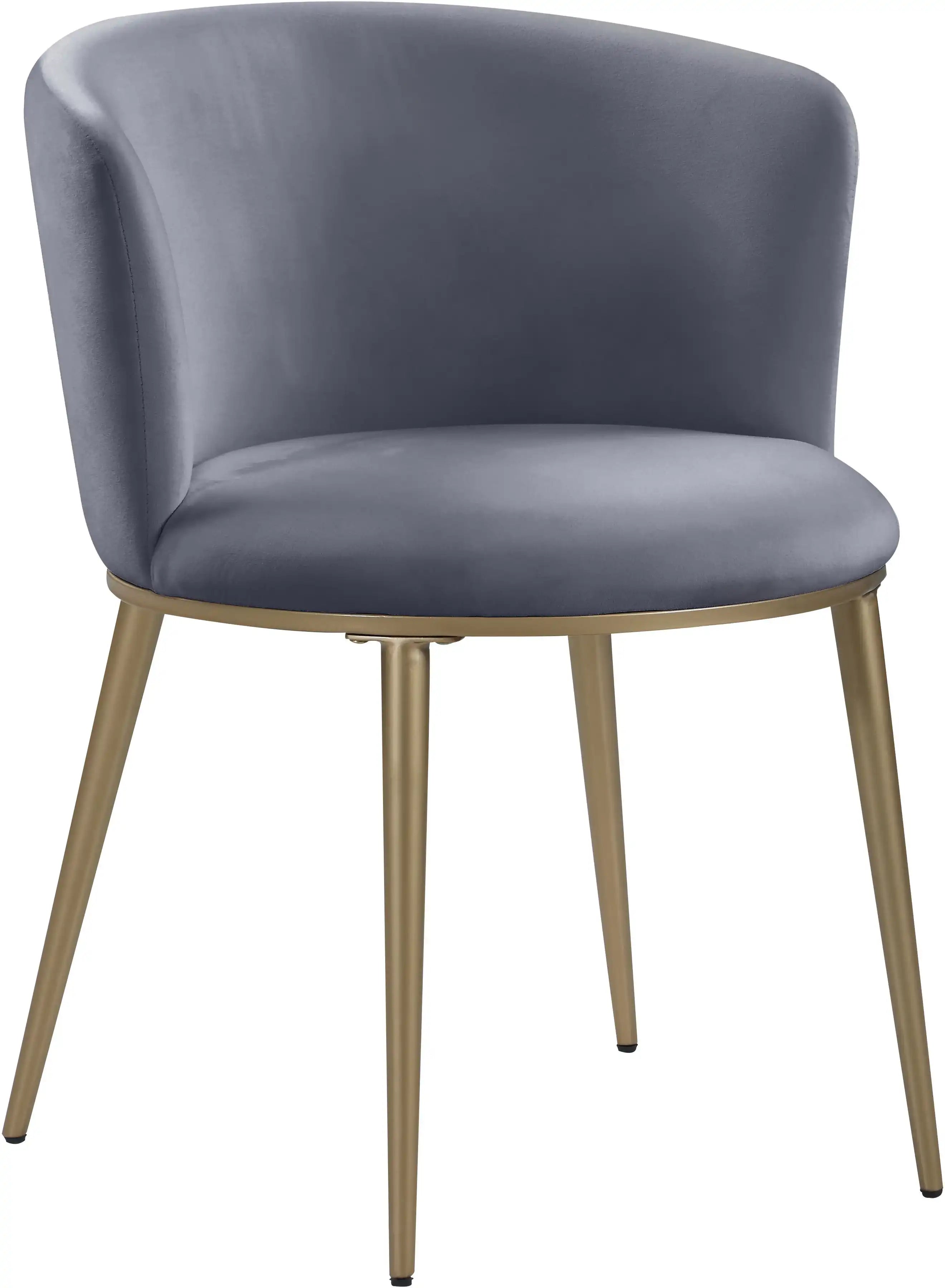 Skylar - Dining Chair with Gold Legs (Set of 2) - Best Buy Furniture