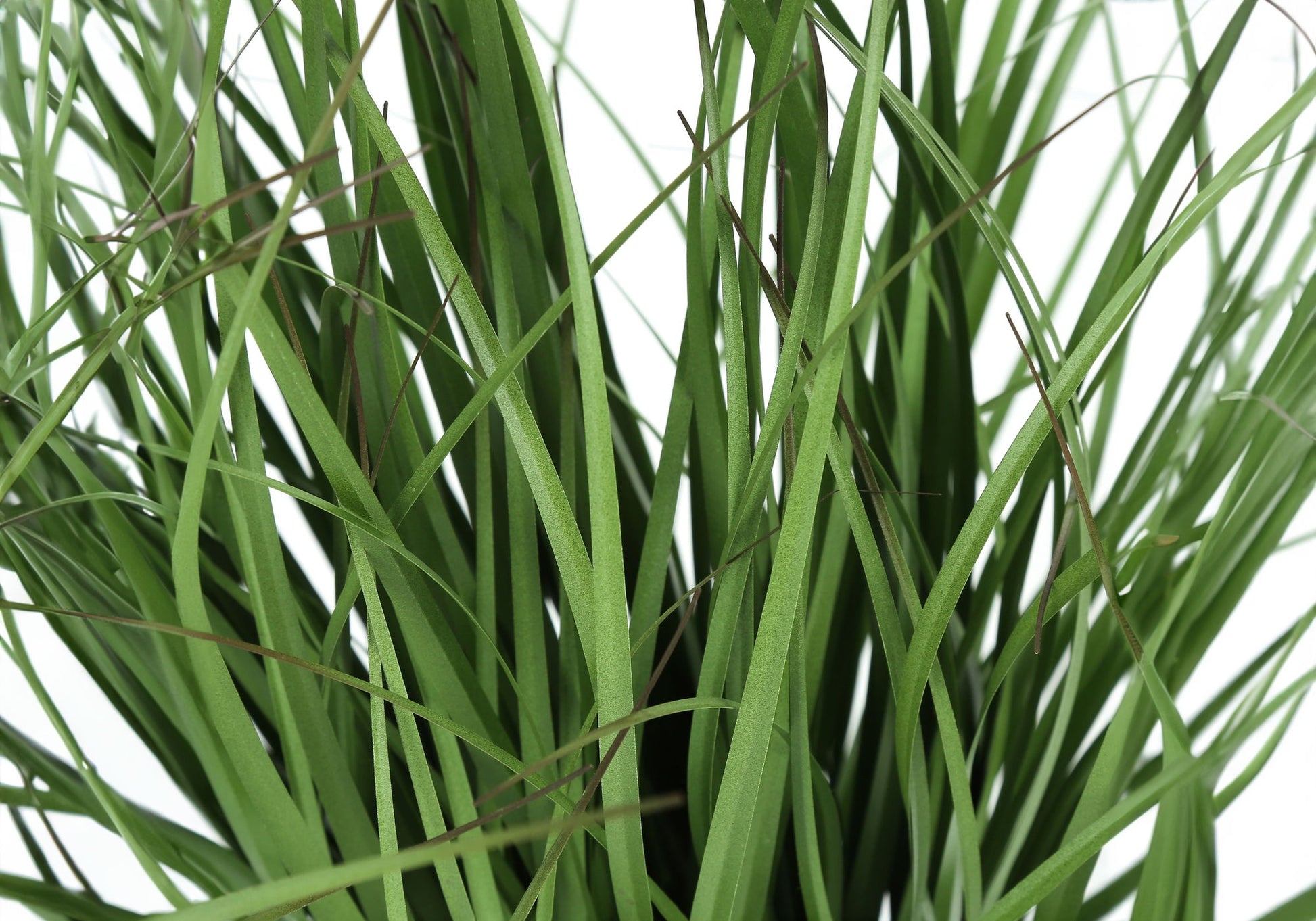 23" Tall, Artificial Plant, Grass, Indoor, Faux, Fake, Table, Greenery, Potted, Real Touch, Decorative - Green / Black - Best Buy Furniture