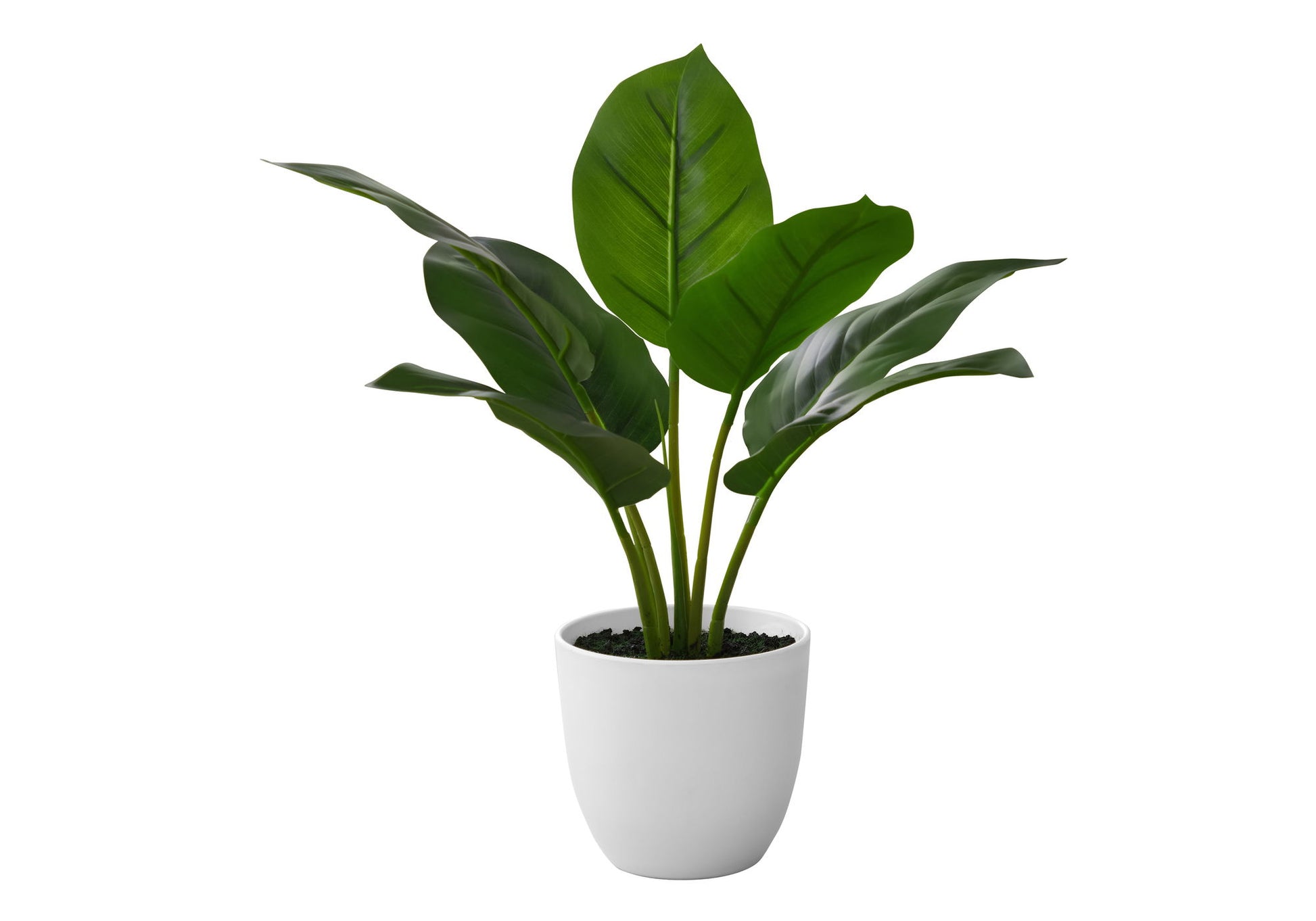17" Tall, Artificial Plant, Aureum, Indoor, Faux, Fake, Table, Greenery, Potted, Real Touch, Decorative - Green / White - Best Buy Furniture