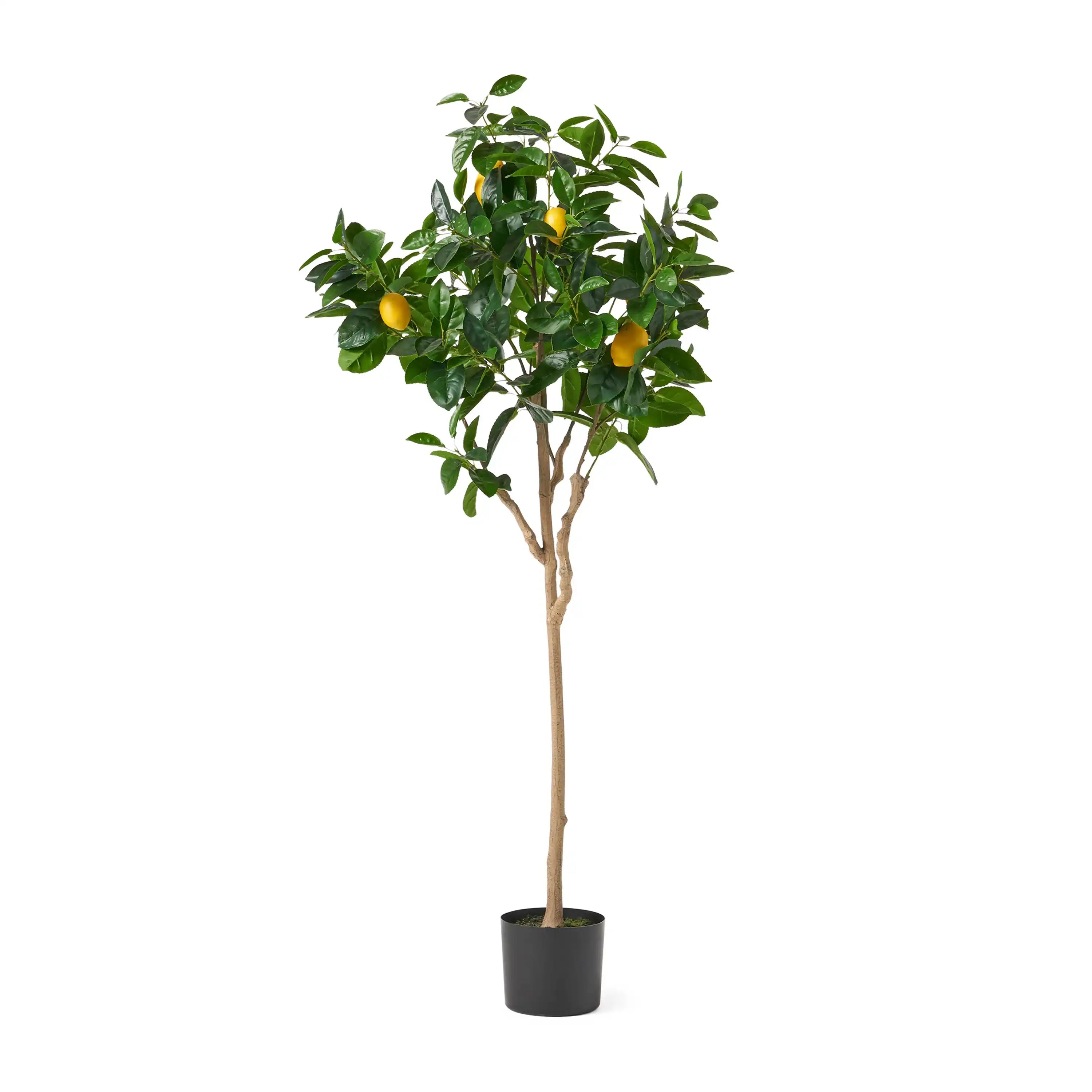 150CM ARTIFICIAL LEMON TREE - Best Buy Furniture