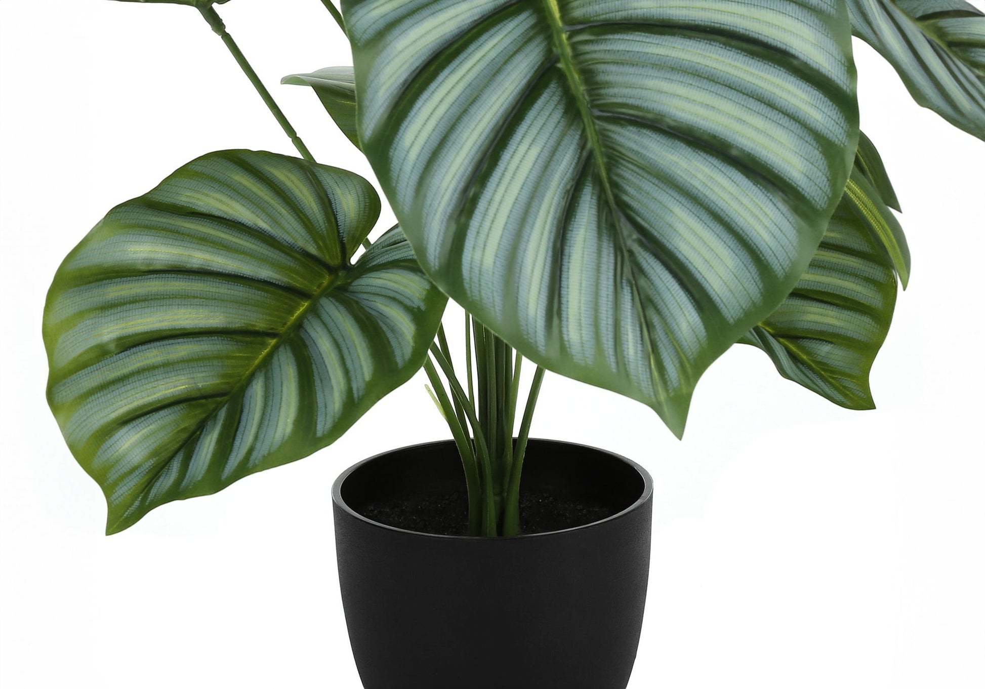 24" Tall, Artificial Plant, Calathea, Indoor, Faux, Fake, Table, Greenery, Potted, Real Touch, Decorative - Green / Black - Best Buy Furniture