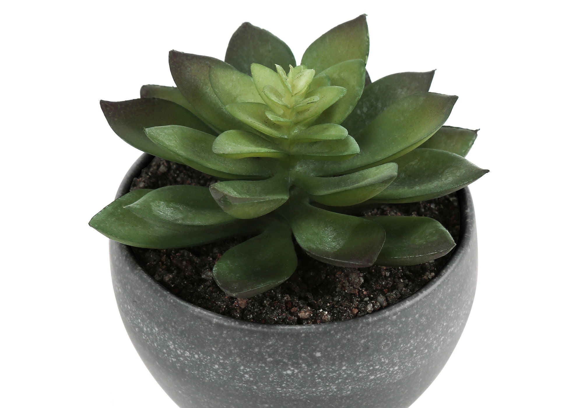 6" Tall, Artificial Plant, Succulent, Indoor, Faux, Fake, Table, Greenery, Potted, Decorative (Set of 3) - Green / Gray - Best Buy Furniture