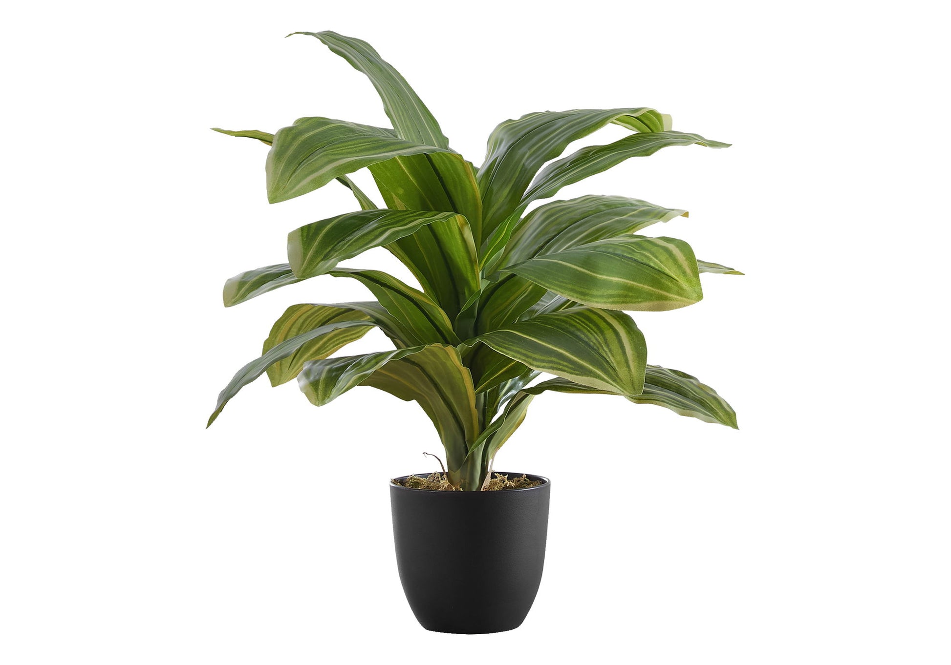 17" Tall, Artificial Plant, Dracaena, Indoor, Faux, Fake, Table, Greenery, Potted, Real Touch, Decorative - Green / Black - Best Buy Furniture