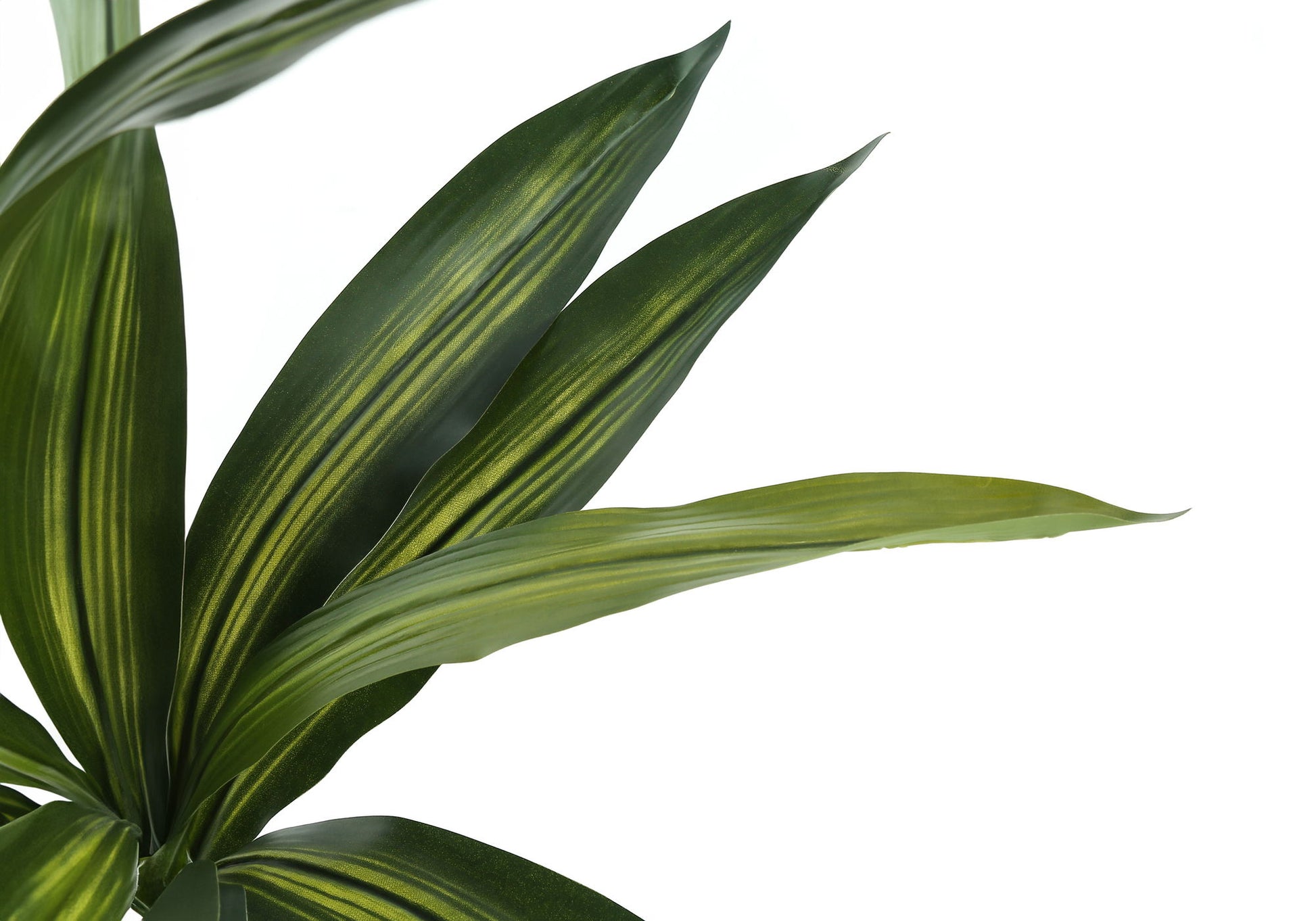 51" Tall, Artificial Plant, Dracaena Tree, Indoor, Faux, Fake, Floor, Greenery, Potted, Real Touch, Decorative - Green / Black - Best Buy Furniture