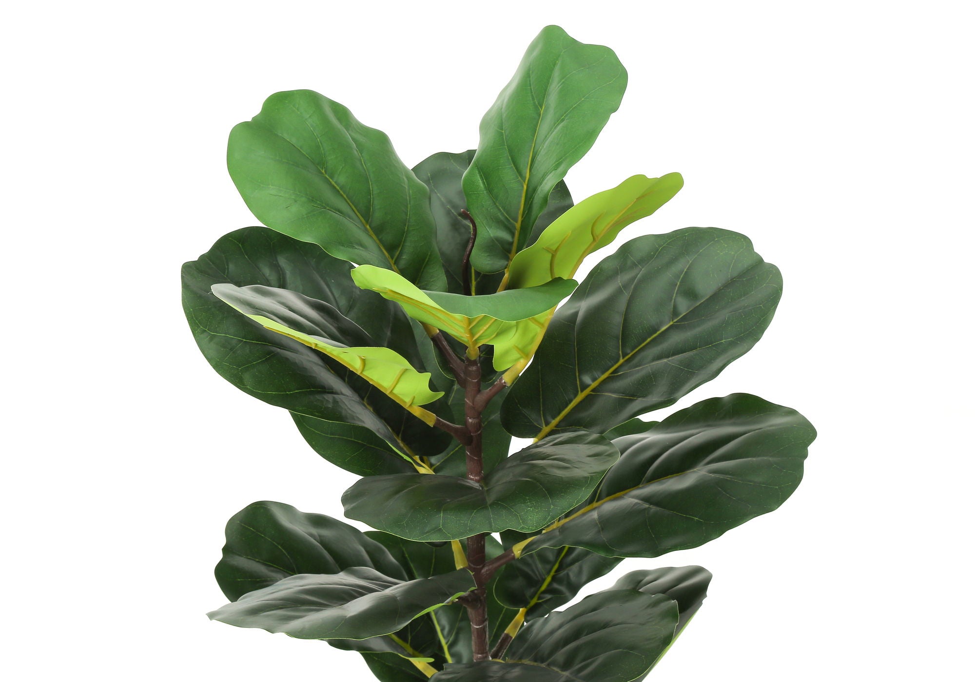 28" Tall, Artificial Plant, Fiddle Tree, Indoor, Faux, Fake, Floor, Greenery, Potted, Real Touch, Decorative - Green / Beige - Best Buy Furniture