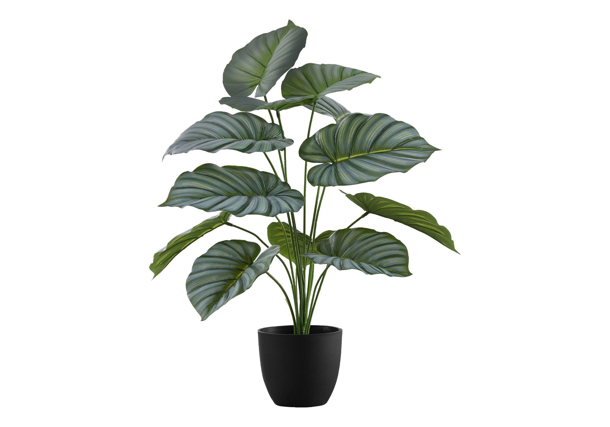 24" Tall, Artificial Plant, Calathea, Indoor, Faux, Fake, Table, Greenery, Potted, Real Touch, Decorative - Green / Black - Best Buy Furniture