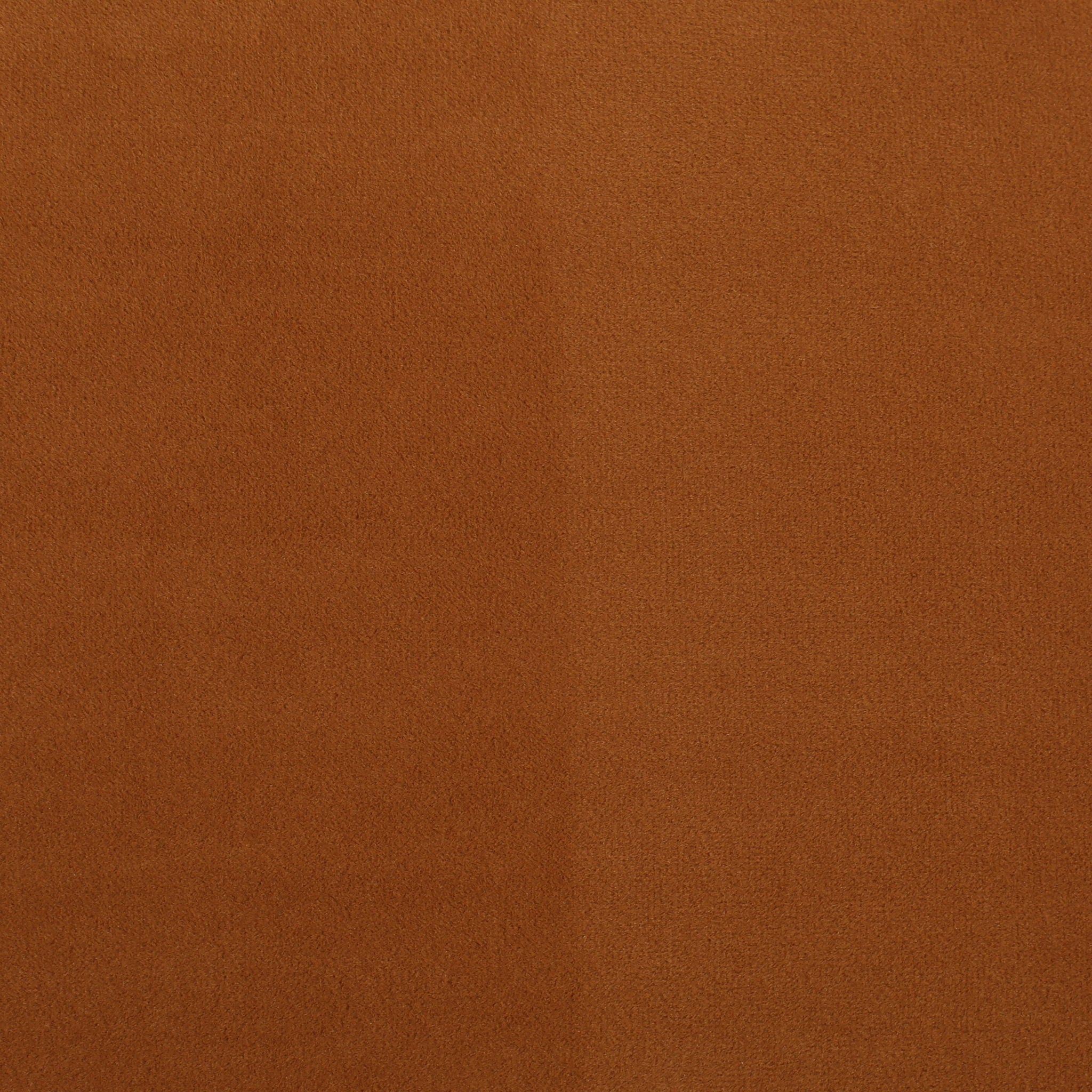 Modern Elegant Design Style Loveseat