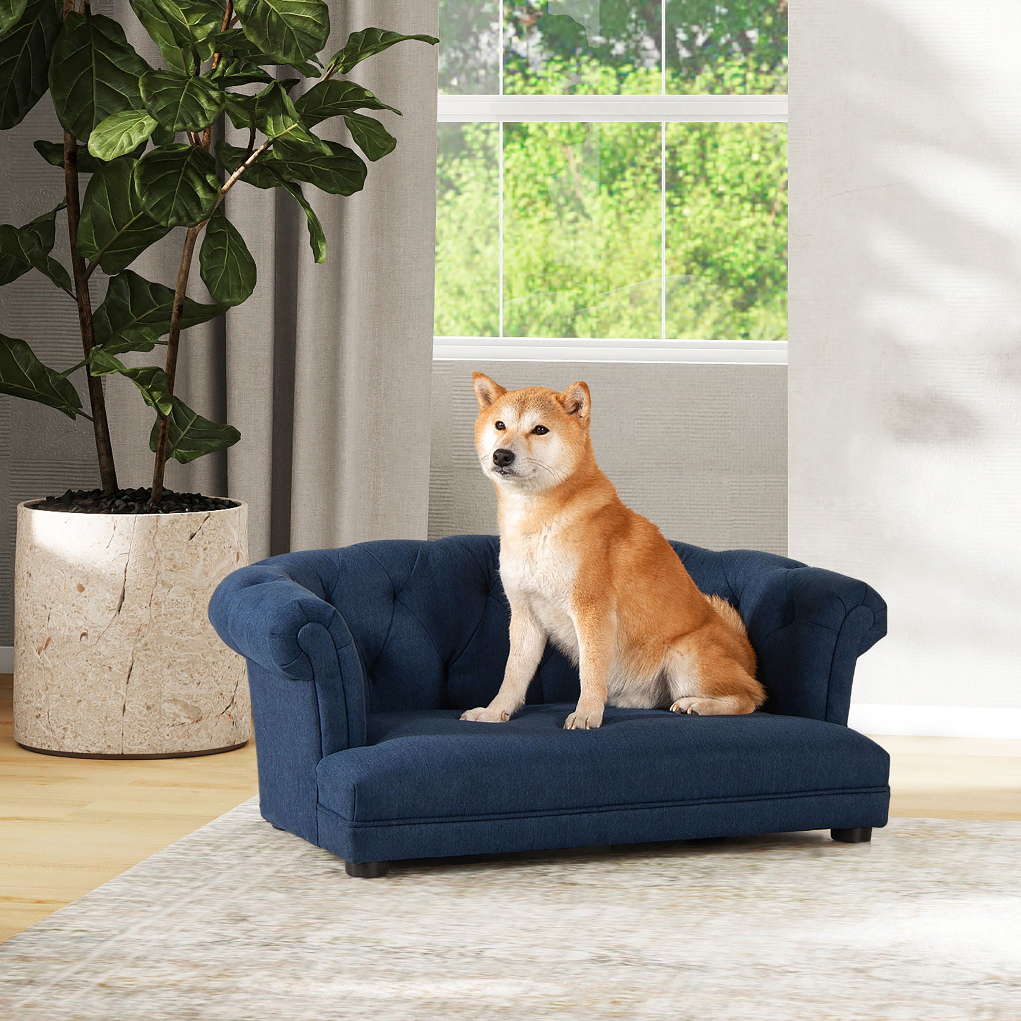 Kiki - Chesterfield Dog Sofa Bed Medium - Best Buy Furniture