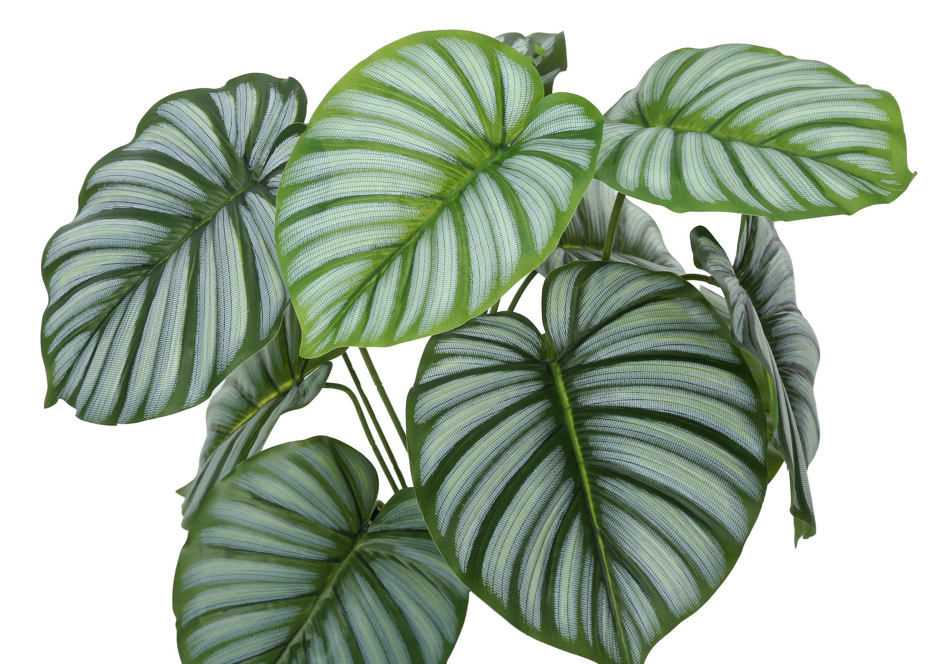 24" Tall, Artificial Plant, Calathea, Indoor, Faux, Fake, Table, Greenery, Potted, Real Touch, Decorative - Green / Black - Best Buy Furniture