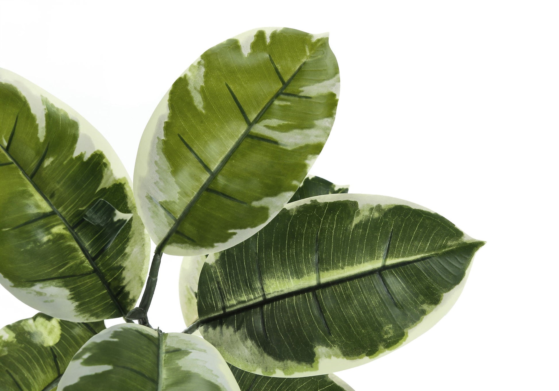 52" Tall, Artificial Plant, Rubber Tree, Indoor, Fake, Floor, Greenery, Potted, Real Touch, Decorative - Green / Black - Best Buy Furniture