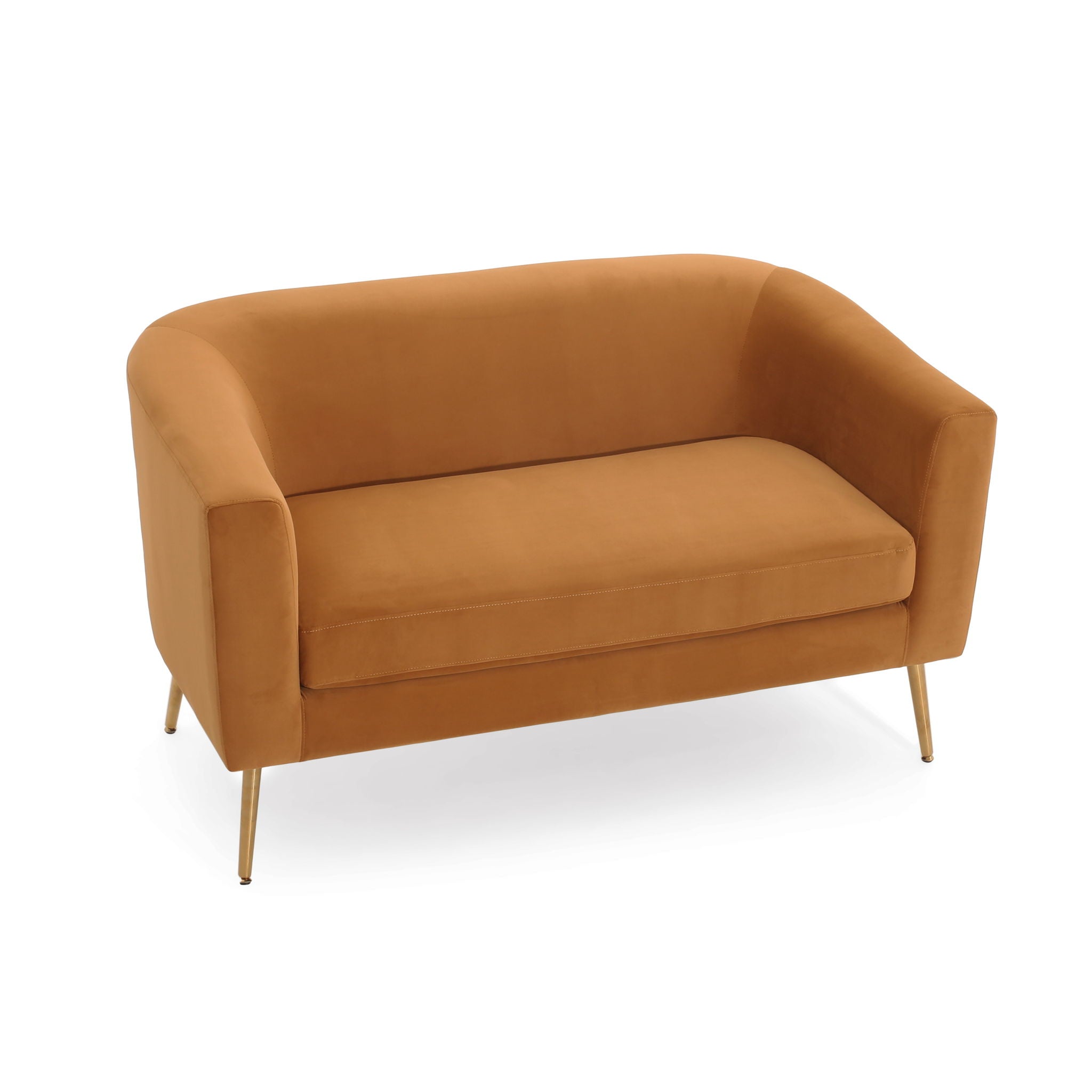 Modern Elegant Design Style Loveseat