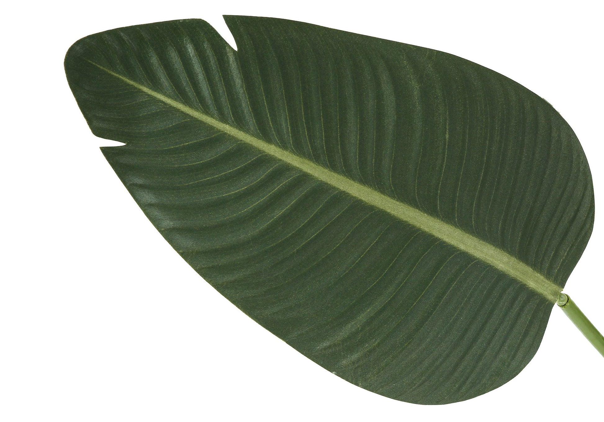 60" Tall, Artificial Plant, Bird Of Paradise Tree, Indoor, Faux, Fake, Floor, Greenery, Potted, Decorative - Green / Black - Best Buy Furniture