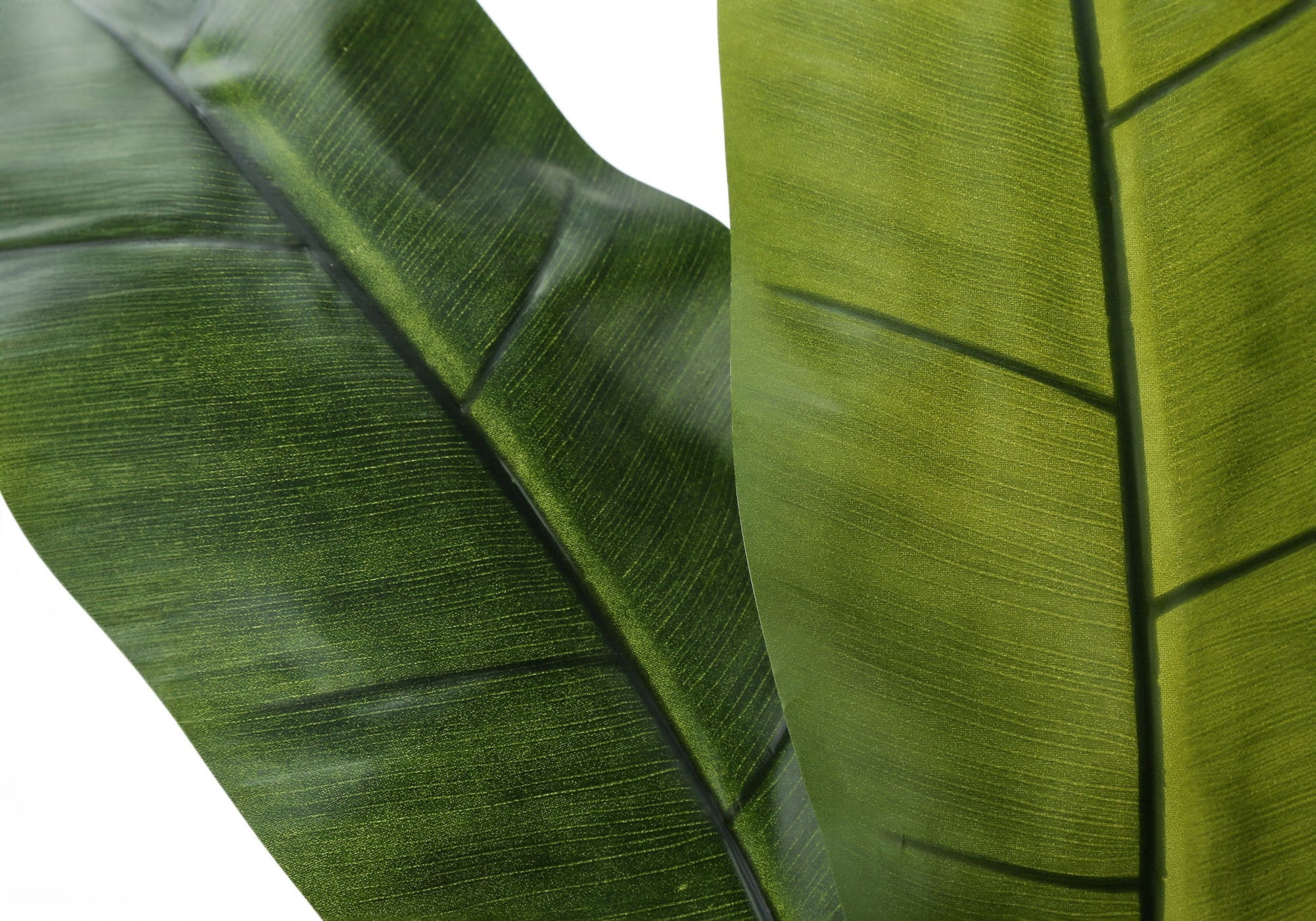 55" Tall, Artificial Plant, Banana Tree, Indoor, Faux, Fake, Floor, Greenery, Potted, Real Touch, Decorative - Green / Black - Best Buy Furniture