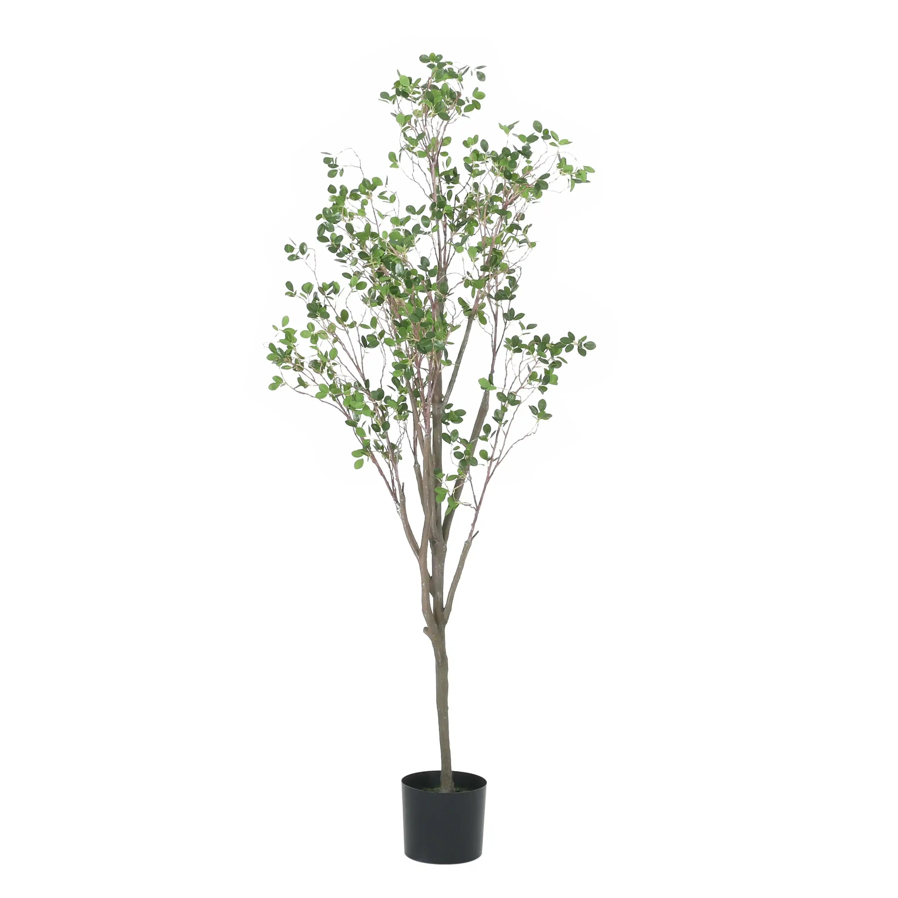 5.9 Ft. artificial milan leaf bonsai - Best Buy Furniture