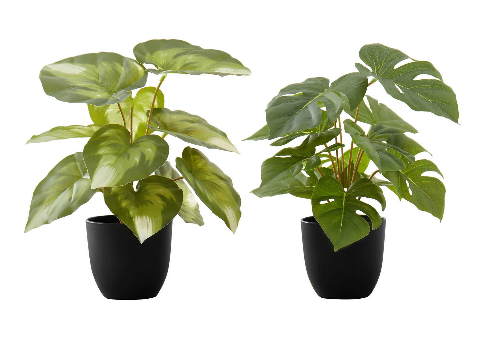 13" Tall, Artificial Plant, Monstera Calthea, Indoor, Faux, Fake, Table, Greenery, Potted, Decorative (Set of 2) - Green / Black - Best Buy Furniture