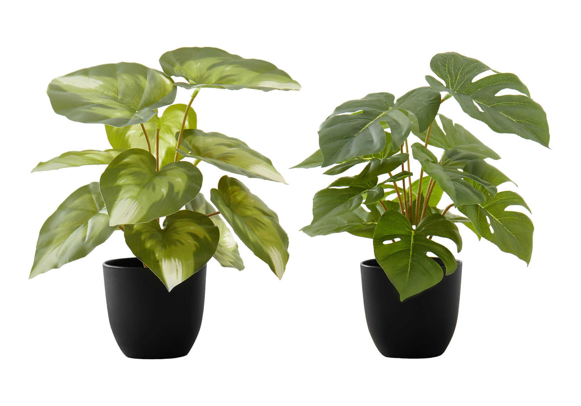 13" Tall, Artificial Plant, Monstera Calthea, Indoor, Faux, Fake, Table, Greenery, Potted, Decorative (Set of 2) - Green / Black - Best Buy Furniture