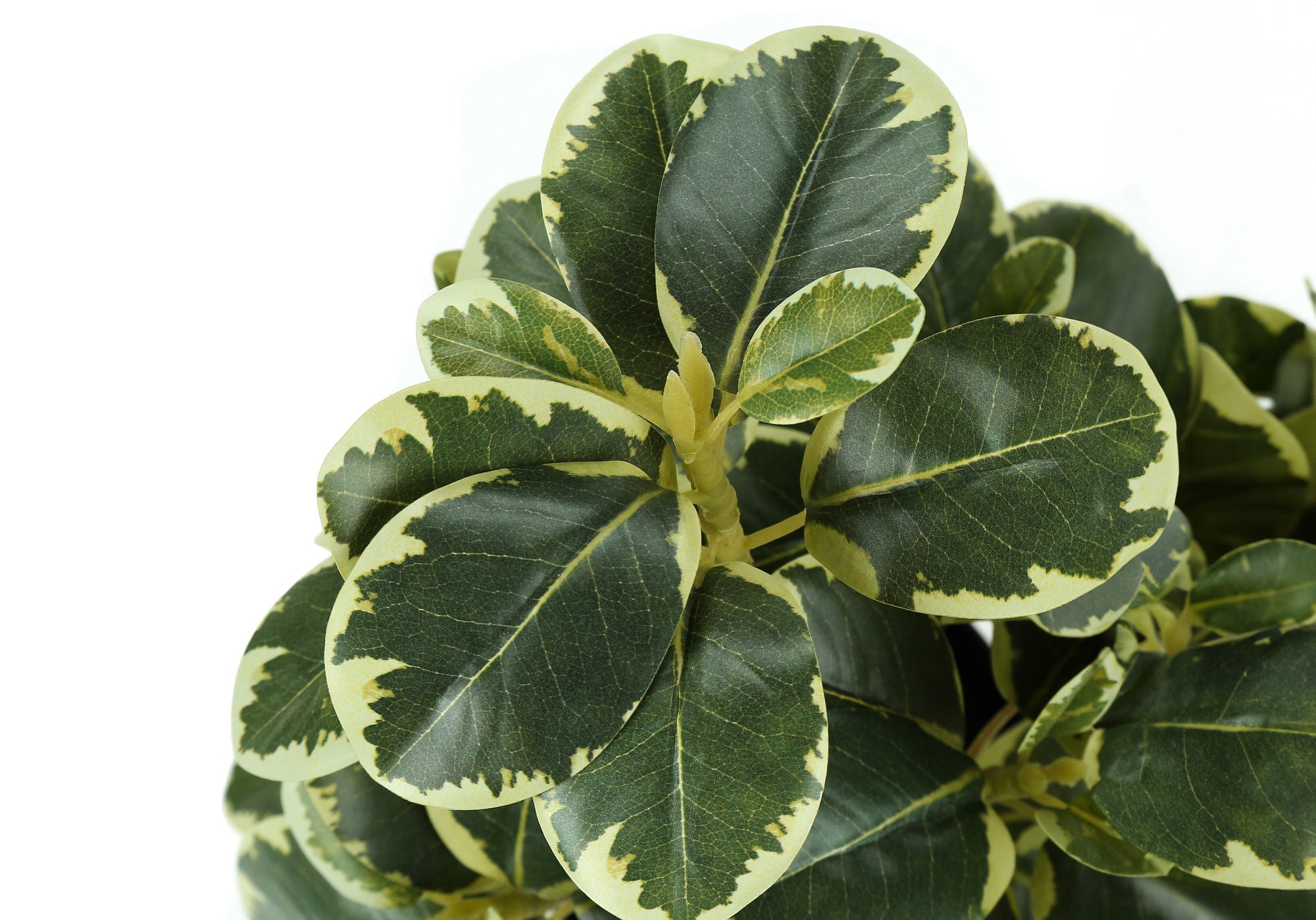 14" Tall, Artificial Plant, Ficus, Indoor, Faux, Fake, Table, Greenery, Potted, Decorative (Set of 2) - Green / Black - Best Buy Furniture