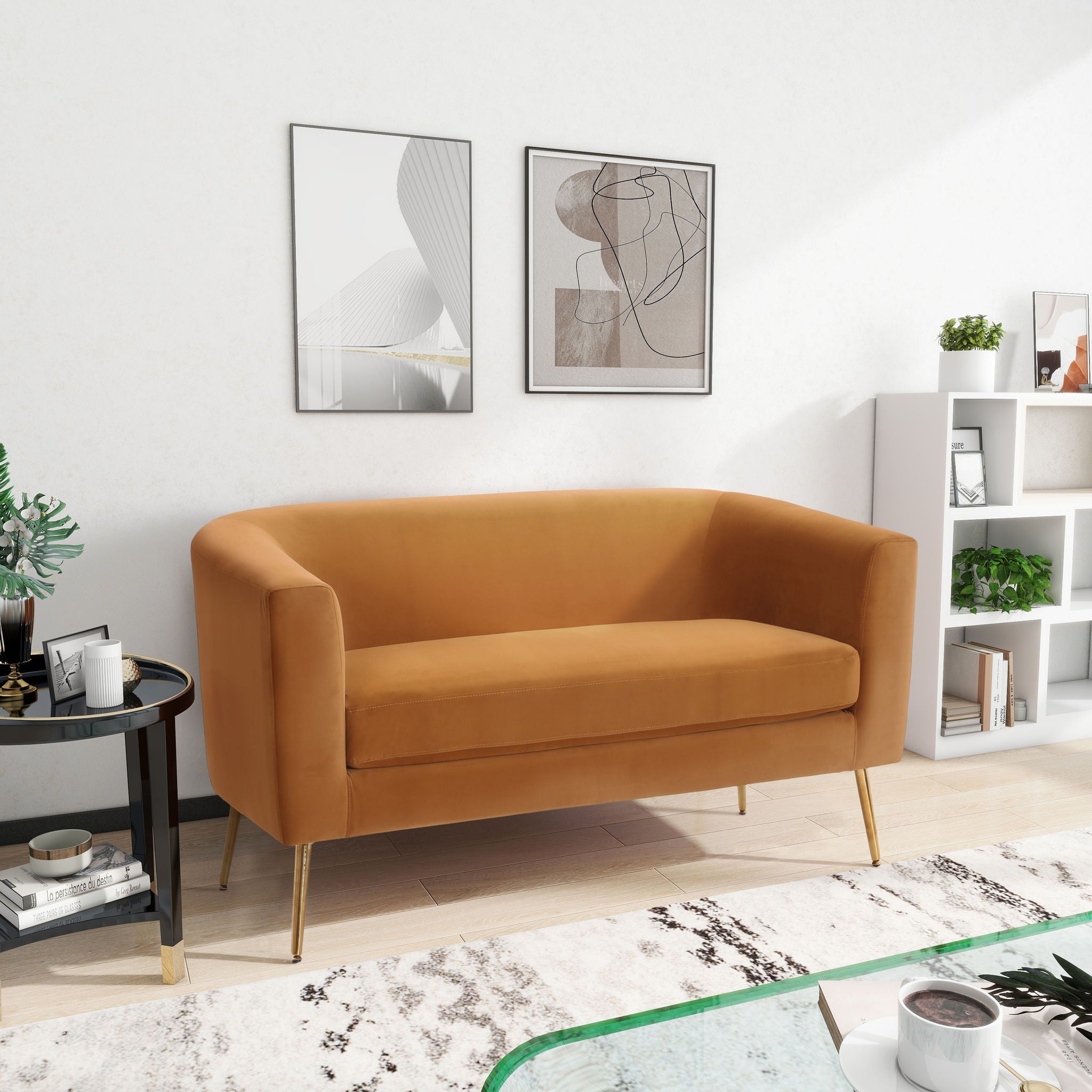 Modern Elegant Design Style Loveseat