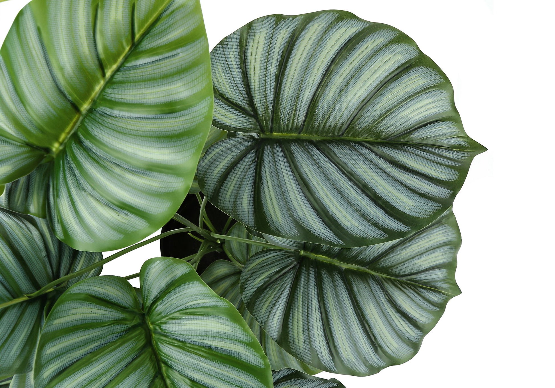 24" Tall, Artificial Plant, Calathea, Indoor, Faux, Fake, Table, Greenery, Potted, Real Touch, Decorative - Green / Black - Best Buy Furniture