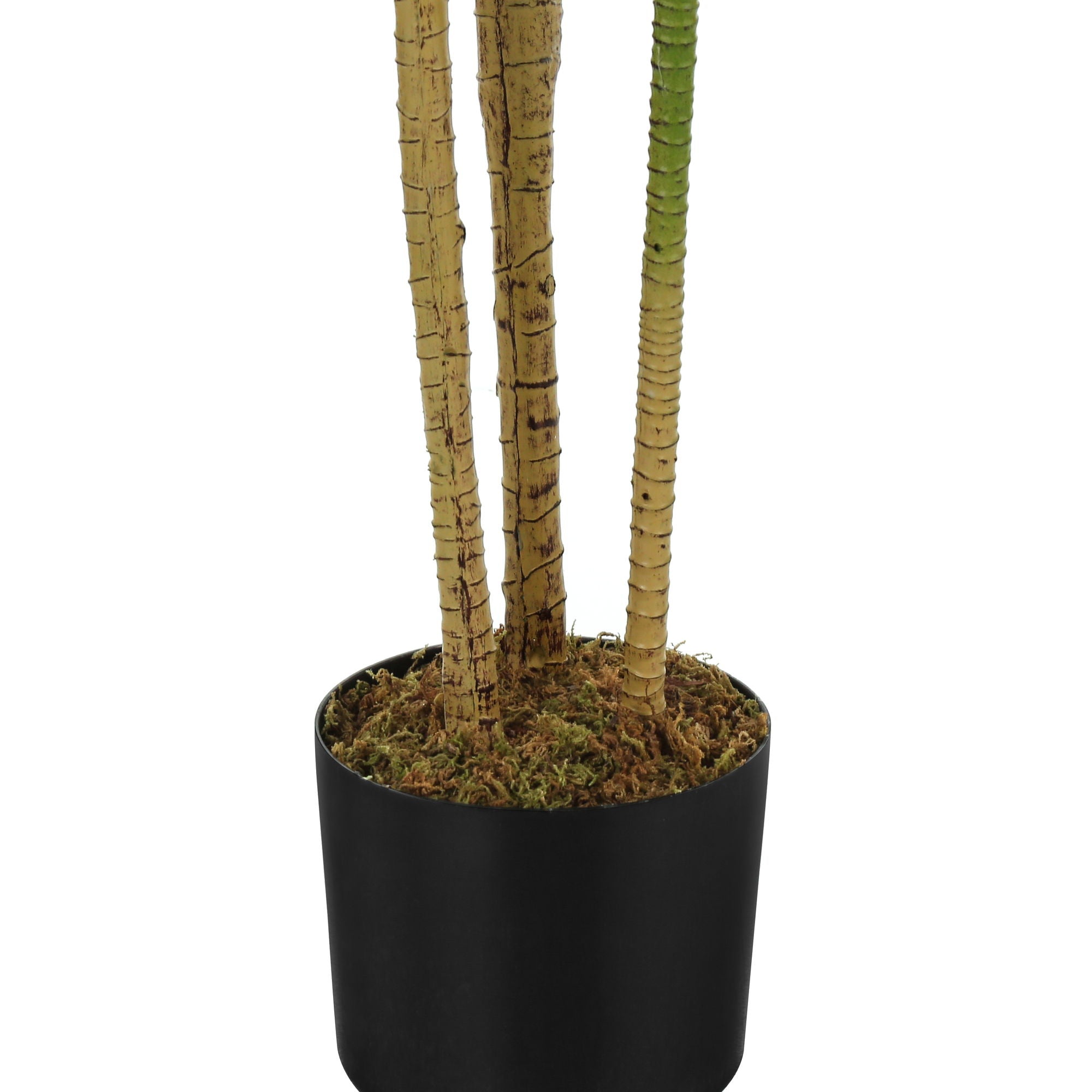51" Tall, Artificial Plant, Dracaena Tree, Indoor, Faux, Fake, Floor, Greenery, Potted, Real Touch, Decorative - Green / Black - Best Buy Furniture
