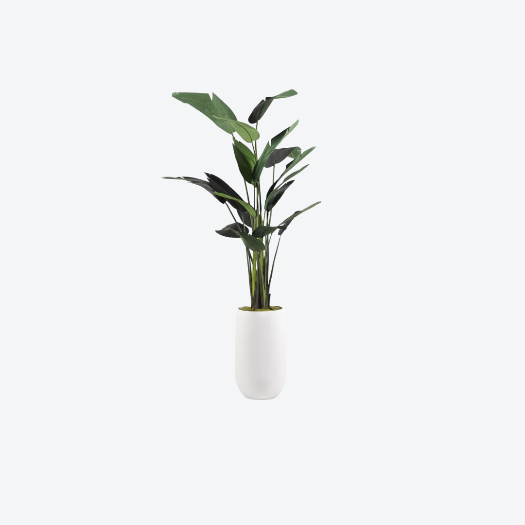 Planters & Vases