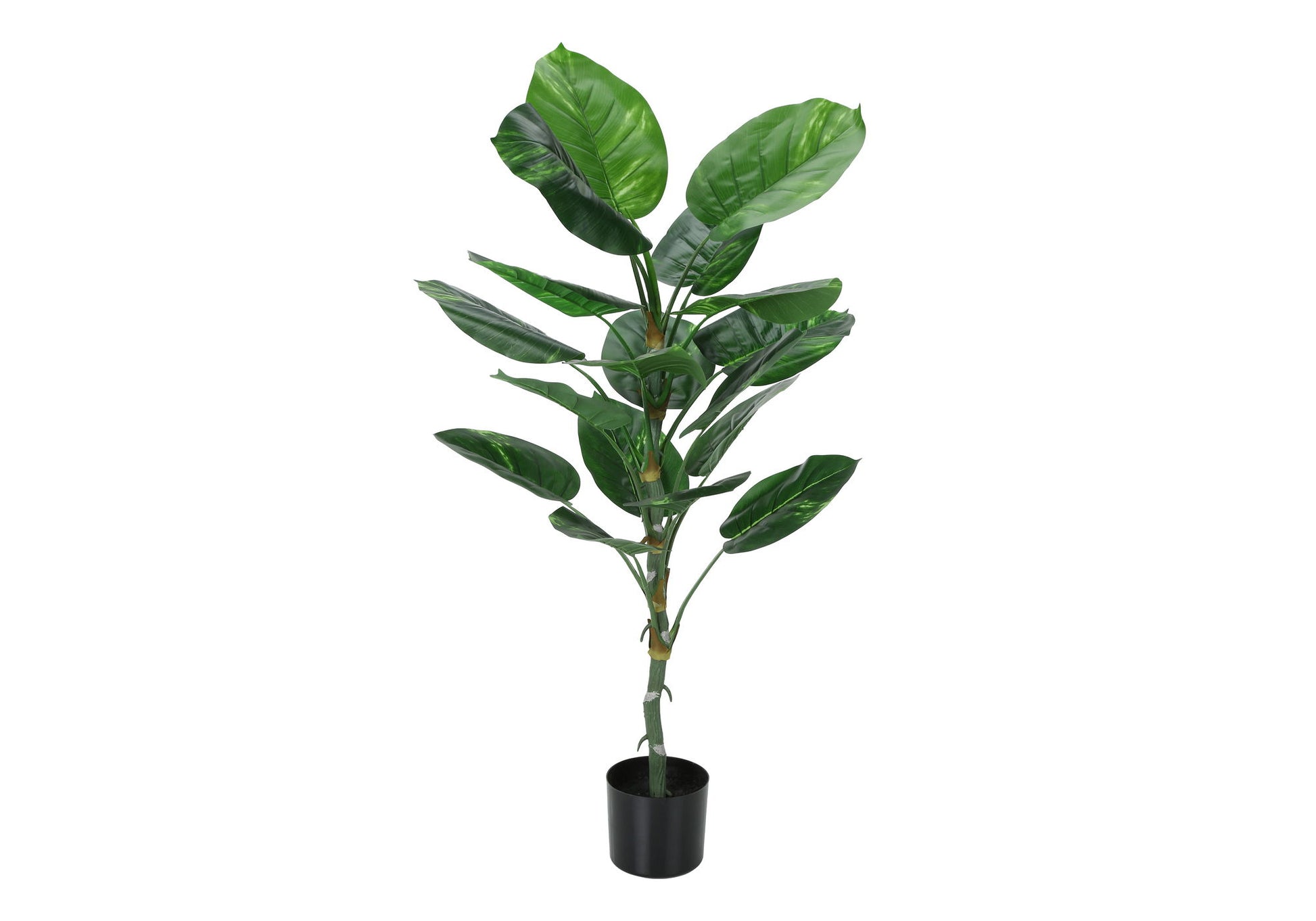 54" Tall, Artificial Plant, Dieffenbachia Tree, Indoor, Faux, Fake, Floor, Greenery, Potted, Real Touch, Decorative - Green / Black - Best Buy Furniture