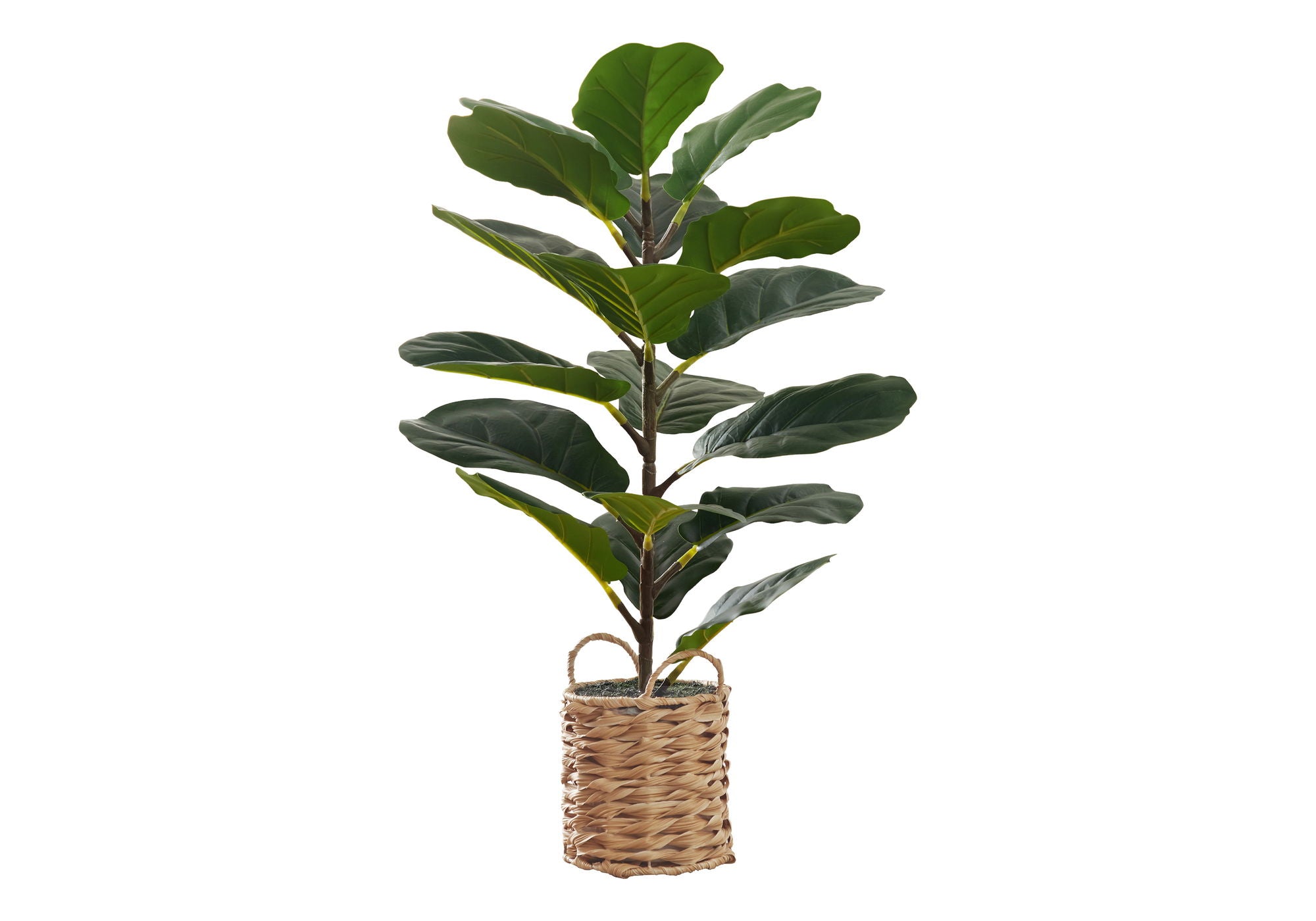 28" Tall, Artificial Plant, Fiddle Tree, Indoor, Faux, Fake, Floor, Greenery, Potted, Real Touch, Decorative - Green / Beige - Best Buy Furniture