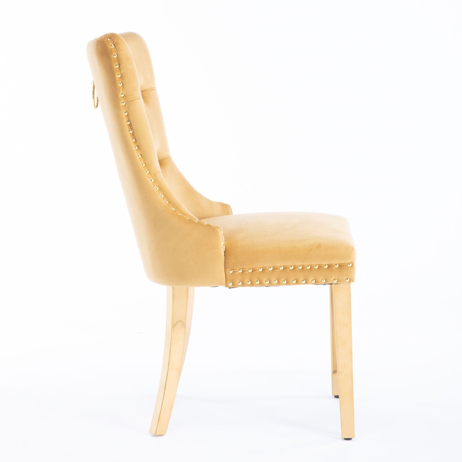 Nikki - Modern, High-End Tufted Solid Wood Contemporary Velvet Upholstered Dining Chair With Golden Stainless Steel Plating Legs, Nailhead Trim (Set of 2) - Best Buy Furniture