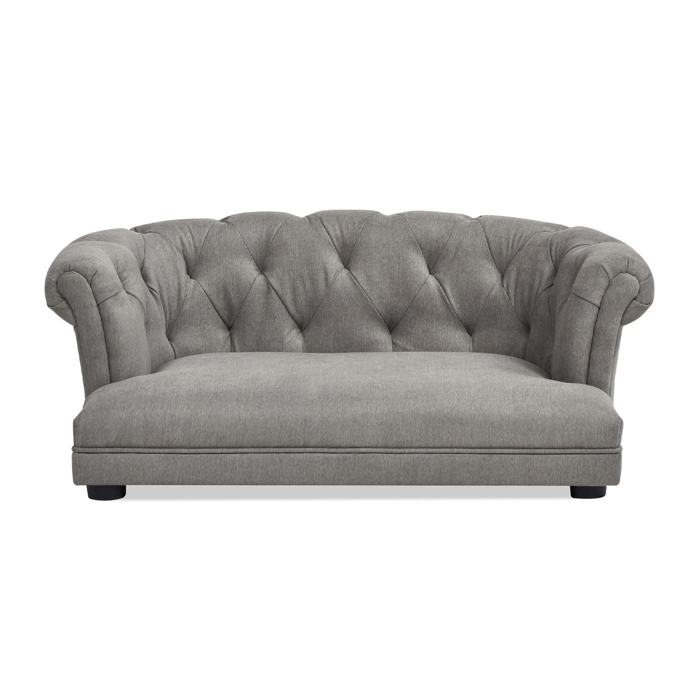 Kiki - Chesterfield Dog Sofa Bed Medium - Best Buy Furniture