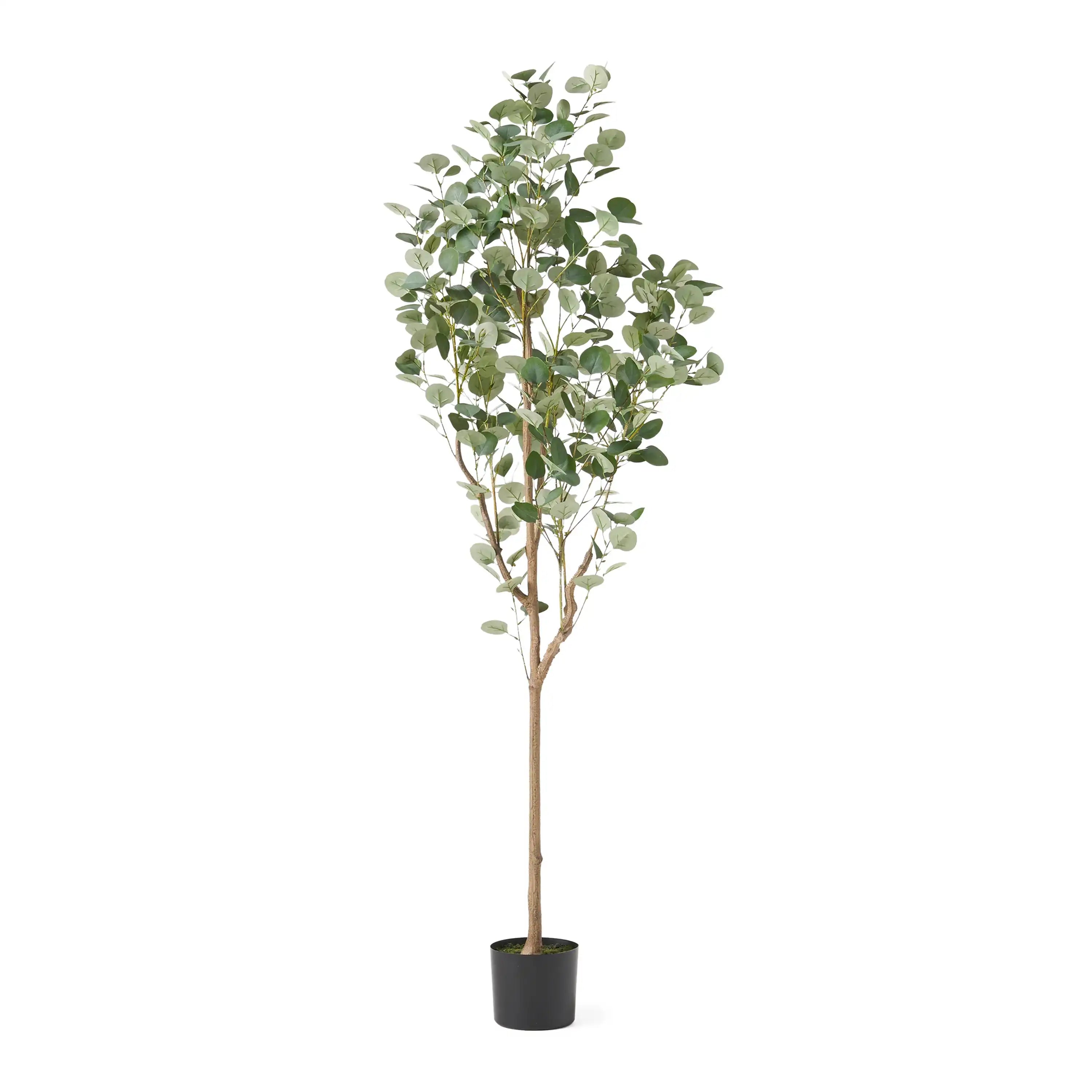 180CM ARTIFICIAL EUCALYPTUS TREE - Best Buy Furniture