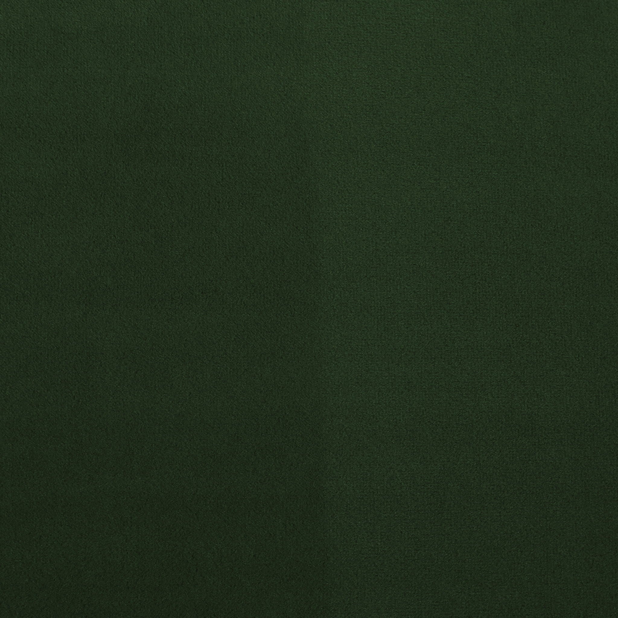 Modern Elegant Design Style Loveseat