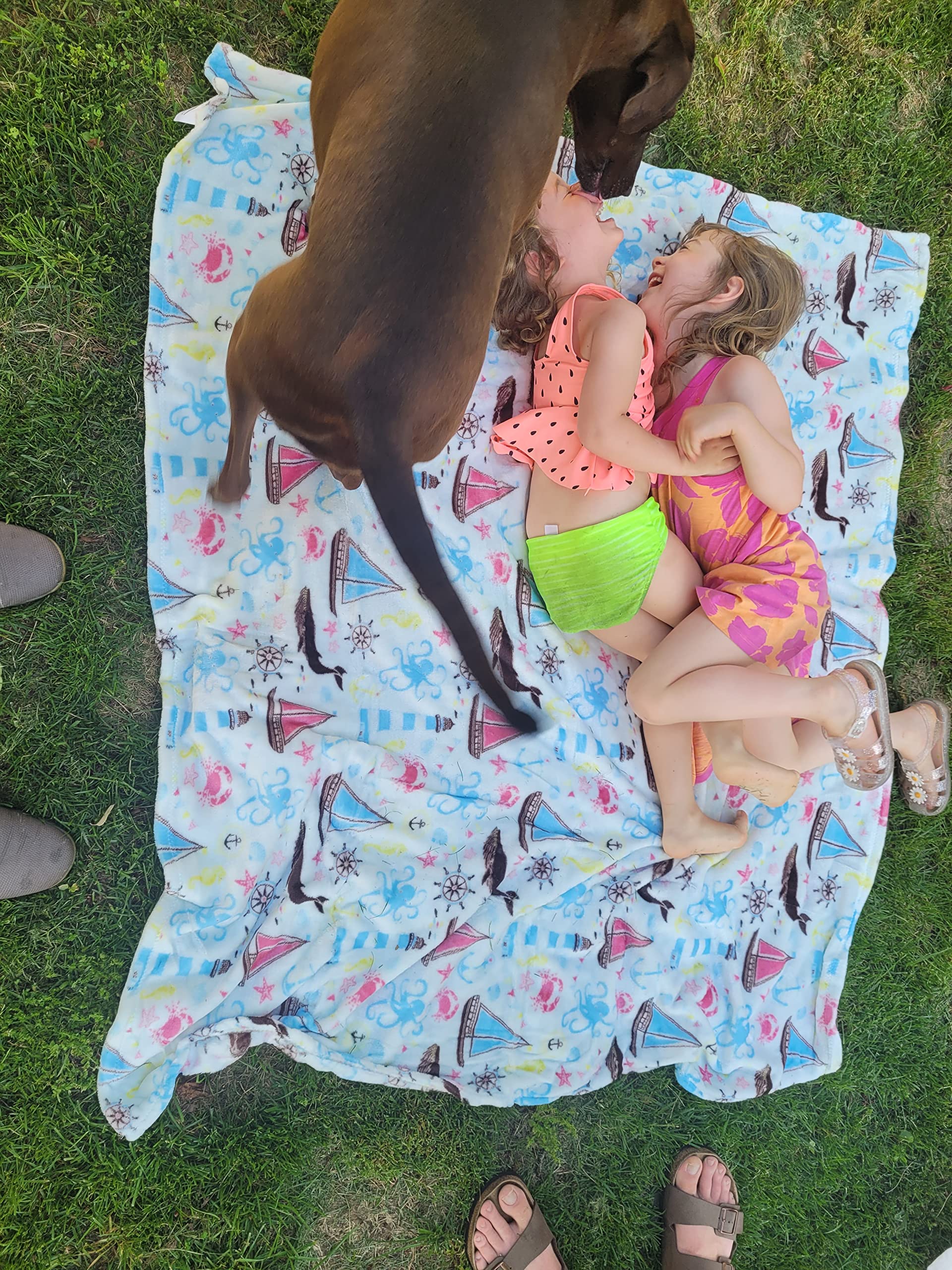 Faith, Hope, Love Home Decor The Shore Extra Soft Throw Blanket (50" X 60") - Sea Life Nautical Throw Blanket - Best Buy Furniture