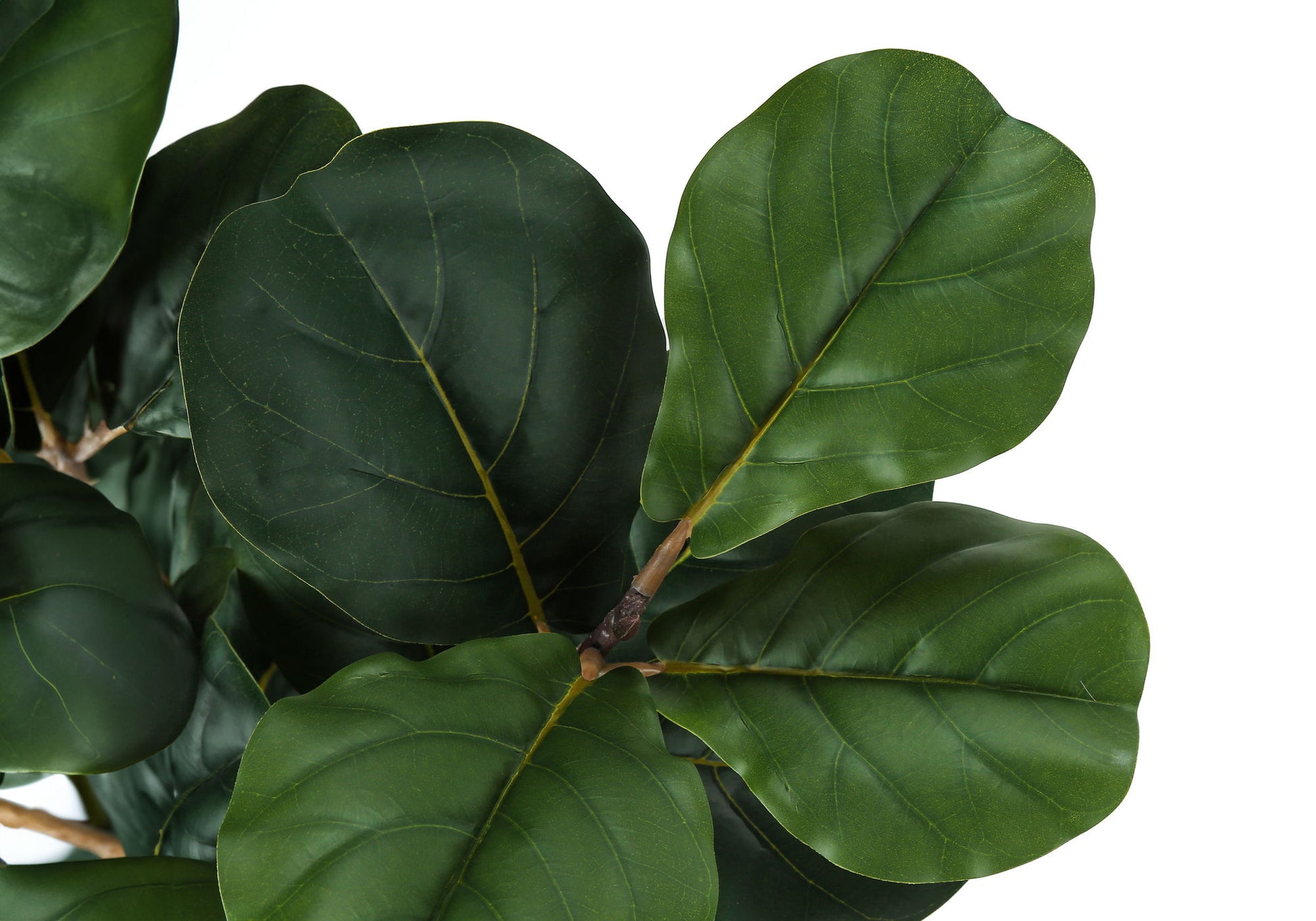 32" Tall, Artificial Plant, Fiddle Tree, Indoor, Faux, Fake, Floor, Greenery, Potted, Real Touch, Decorative - Green / Black - Best Buy Furniture