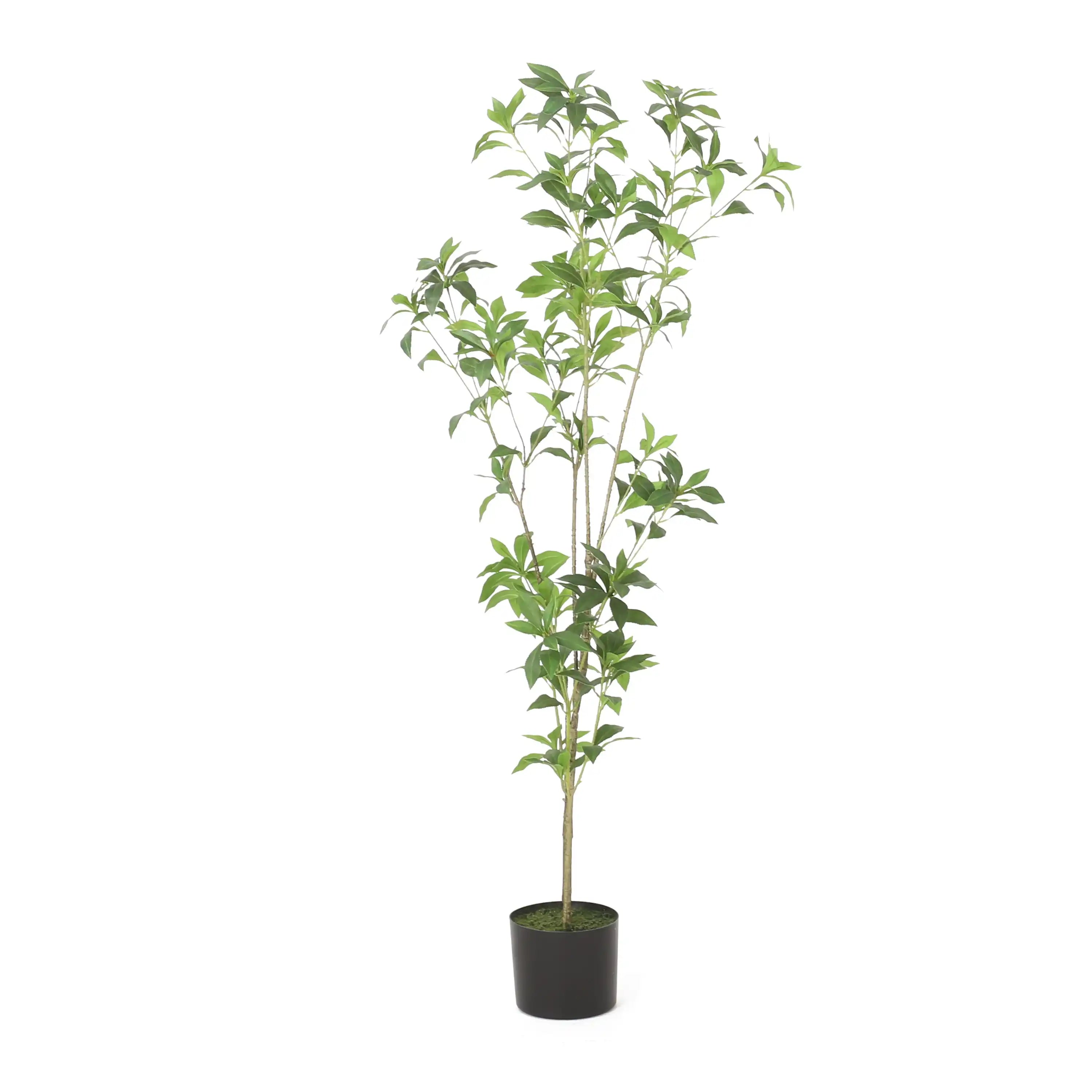 120CMARTIFICIAL PIERIS TREE - Best Buy Furniture