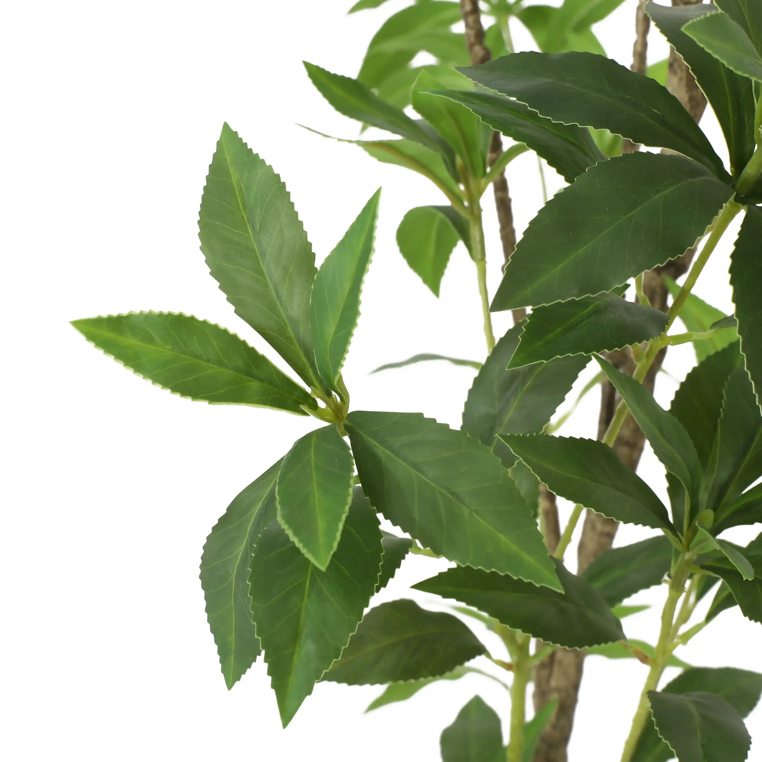 120CMARTIFICIAL PIERIS TREE - Best Buy Furniture