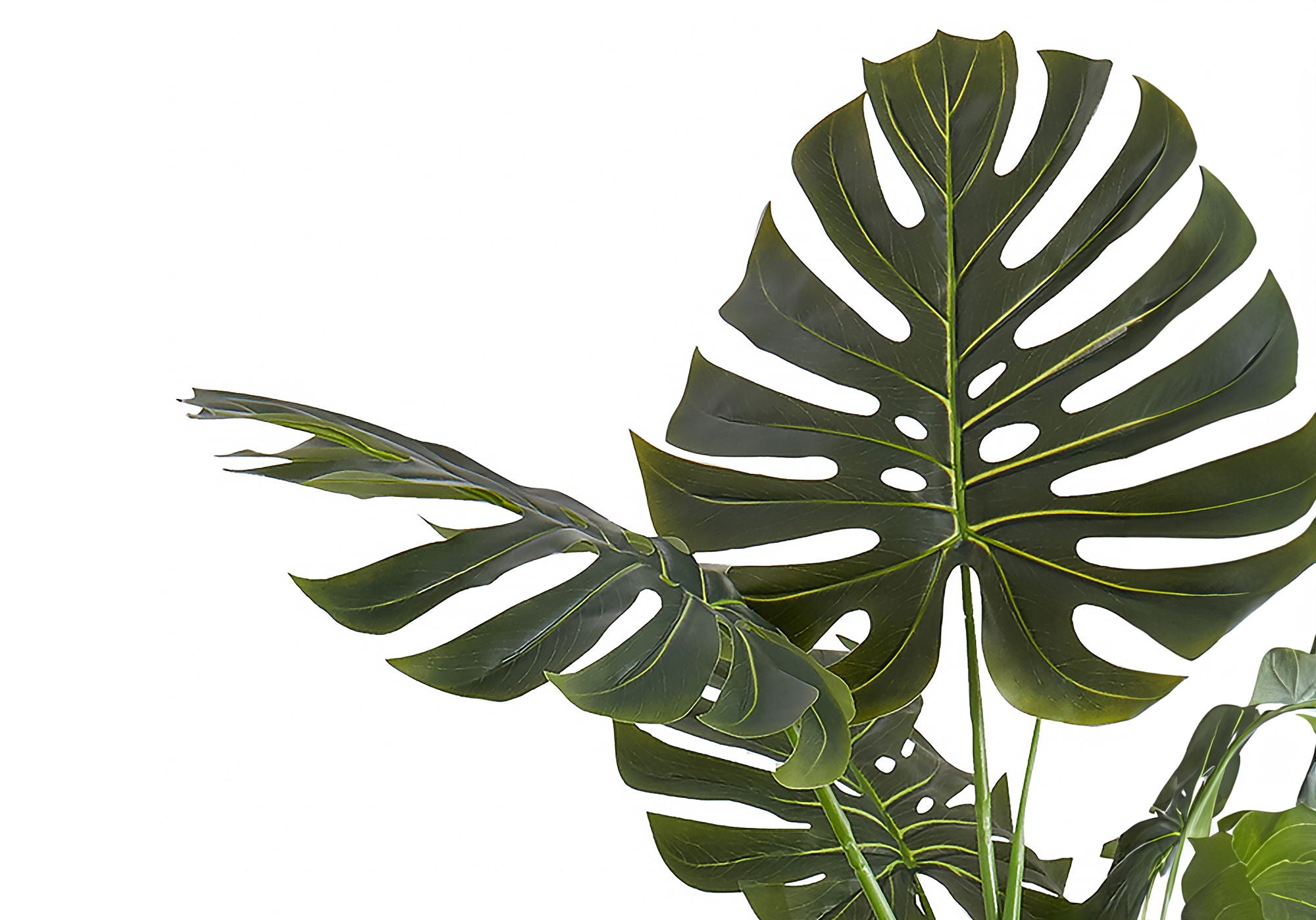 55" Tall, Artificial Plant, Monstera Tree, Indoor, Faux, Fake, Floor, Greenery, Potted, Real Touch, Decorative - Green / Black - Best Buy Furniture