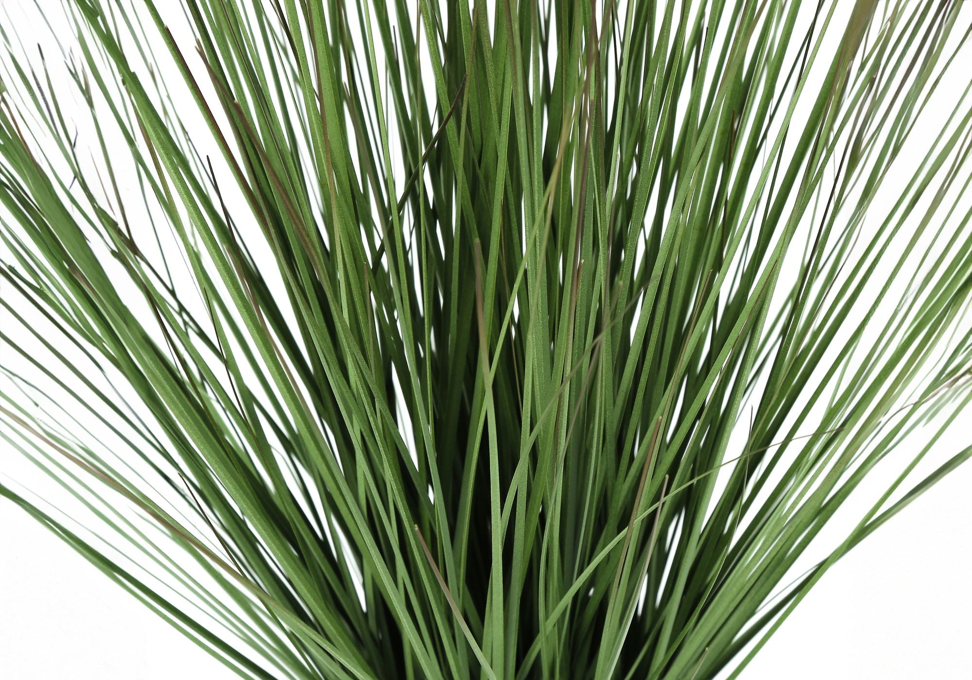 21" Tall, Artificial Plant, Grass, Indoor, Faux, Fake, Table, Greenery, Potted, Real Touch, Decorative - Green / White - Best Buy Furniture