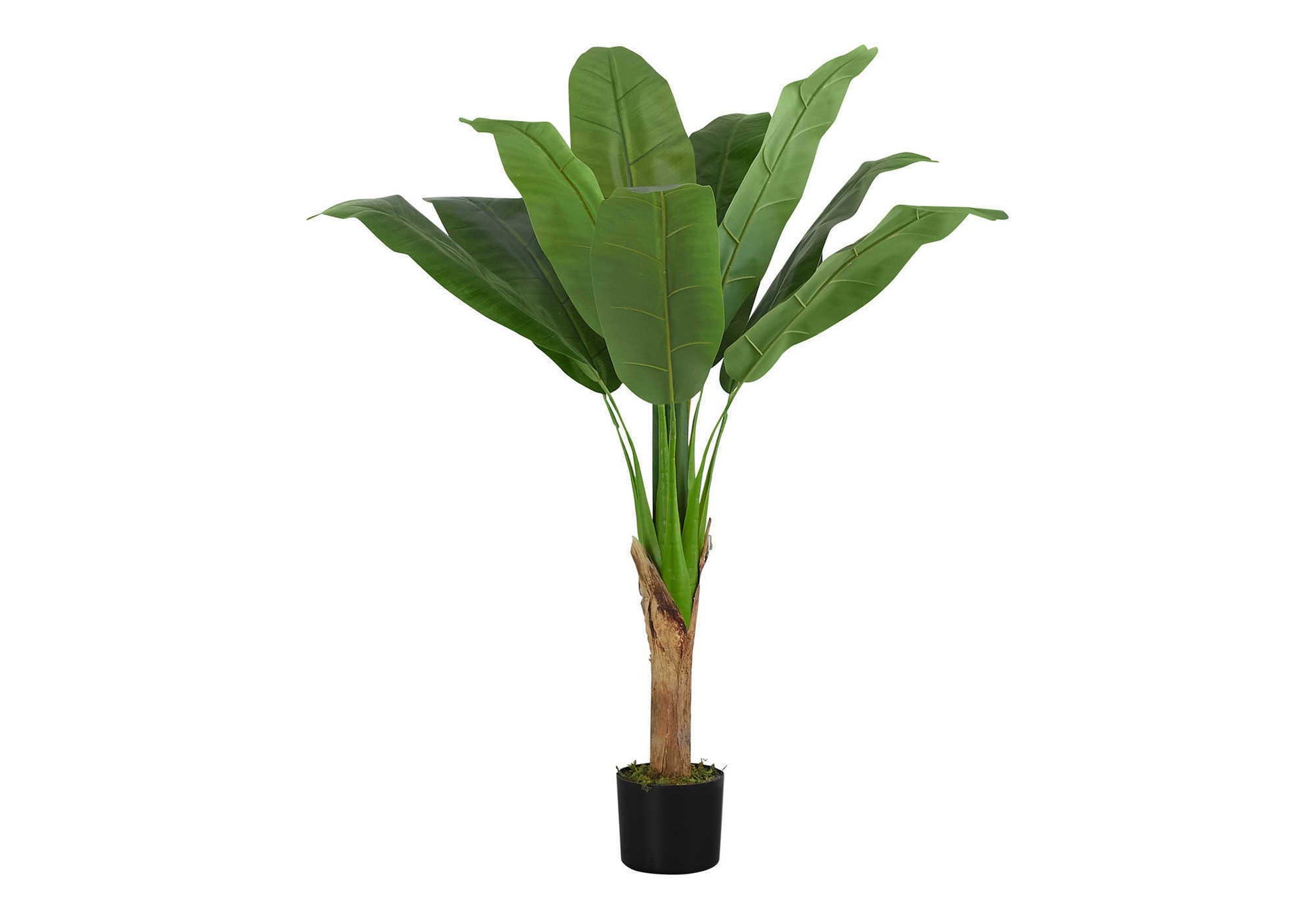 43" Tall, Artificial Plant, Banana Tree, Indoor, Faux, Fake, Floor, Greenery, Potted, Real Touch, Decorative - Green / Black - Best Buy Furniture