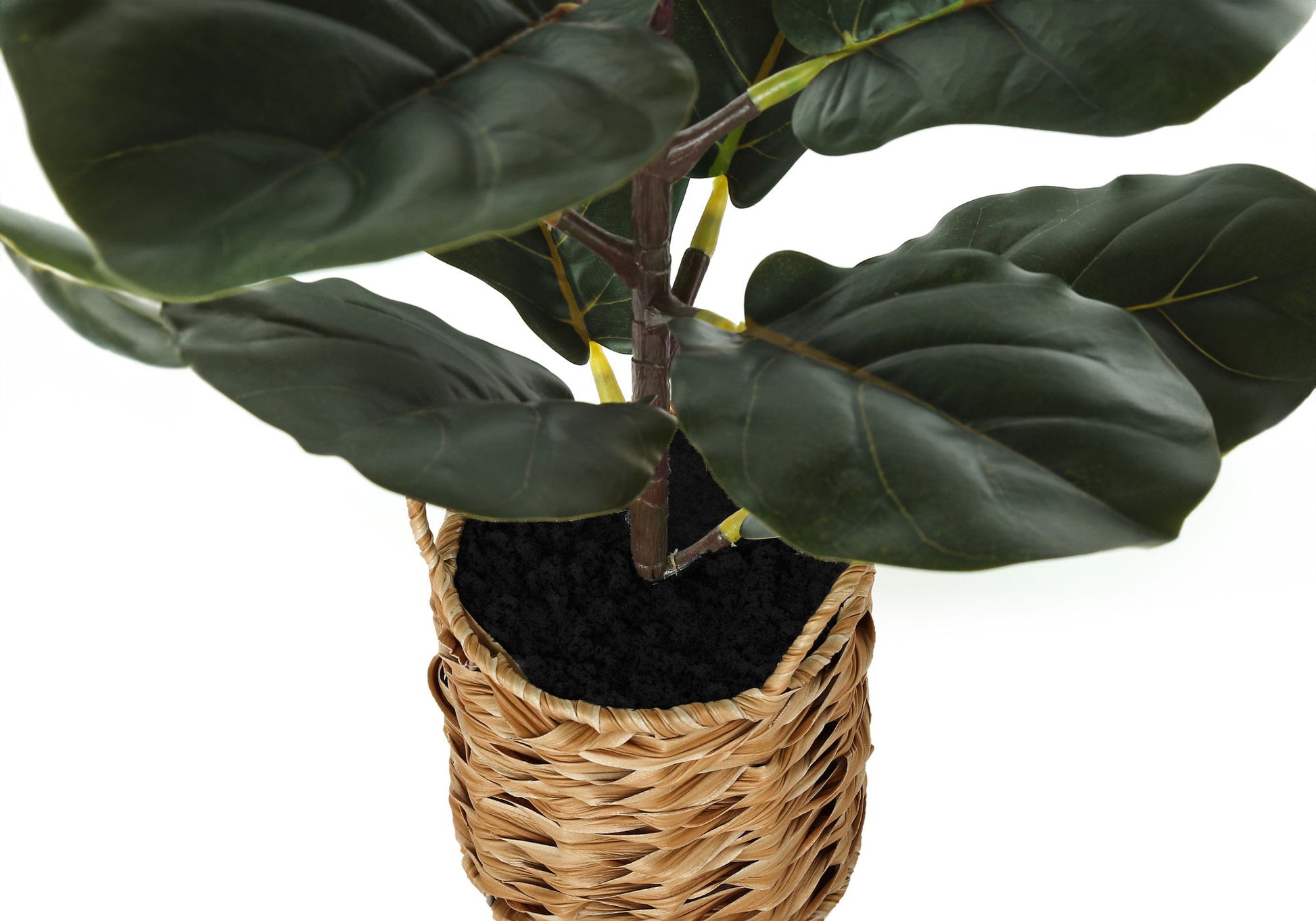 28" Tall, Artificial Plant, Fiddle Tree, Indoor, Faux, Fake, Floor, Greenery, Potted, Real Touch, Decorative - Green / Beige - Best Buy Furniture