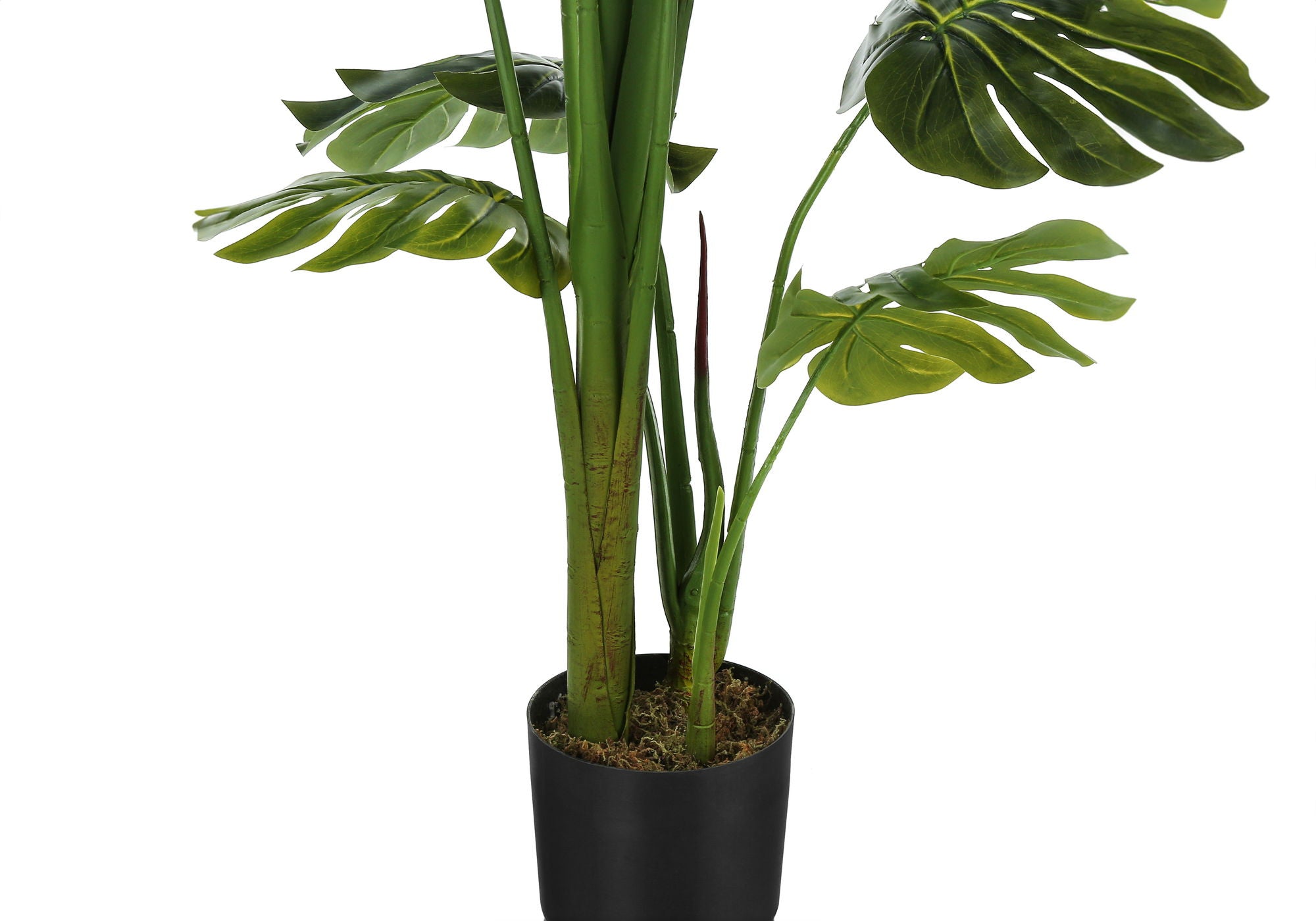 55" Tall, Artificial Plant, Monstera Tree, Indoor, Faux, Fake, Floor, Greenery, Potted, Real Touch, Decorative - Green / Black - Best Buy Furniture