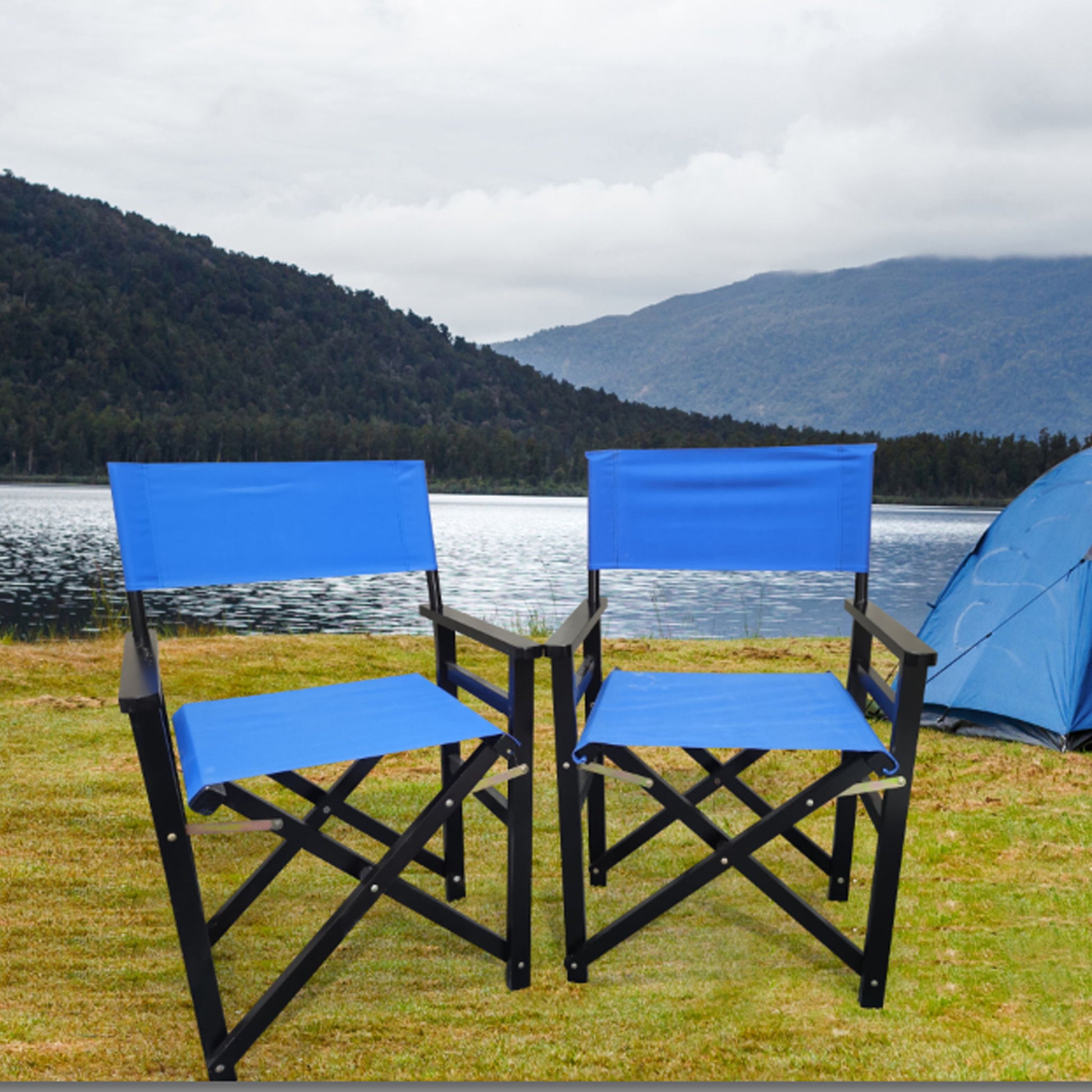 Folding Director Chair Canvas - Best Buy Furniture