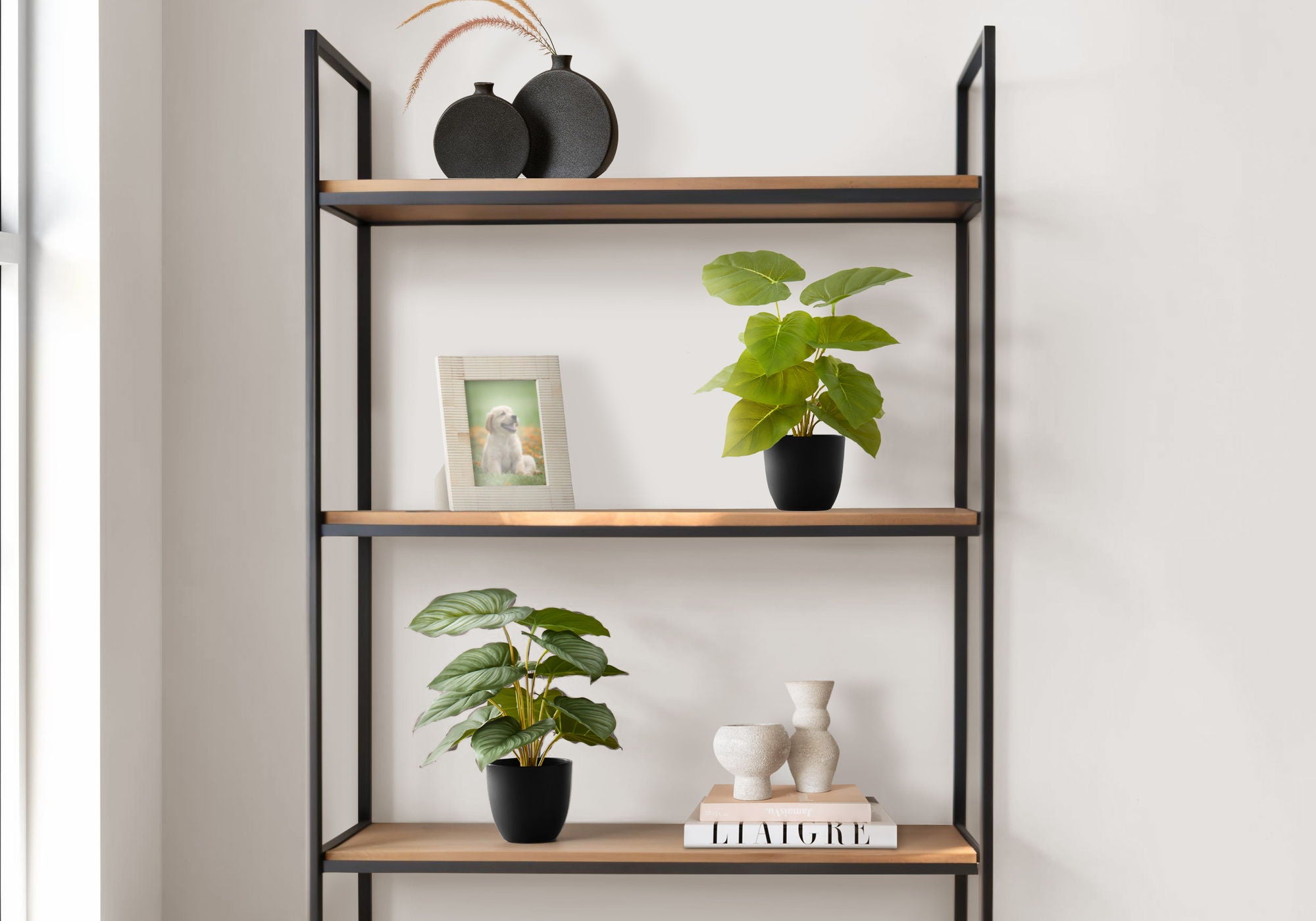 13" Tall, Artificial Plant, Epipremnum, Indoor, Faux, Fake, Table, Greenery, Potted, Decorative (Set of 2) - Green / Black - Best Buy Furniture