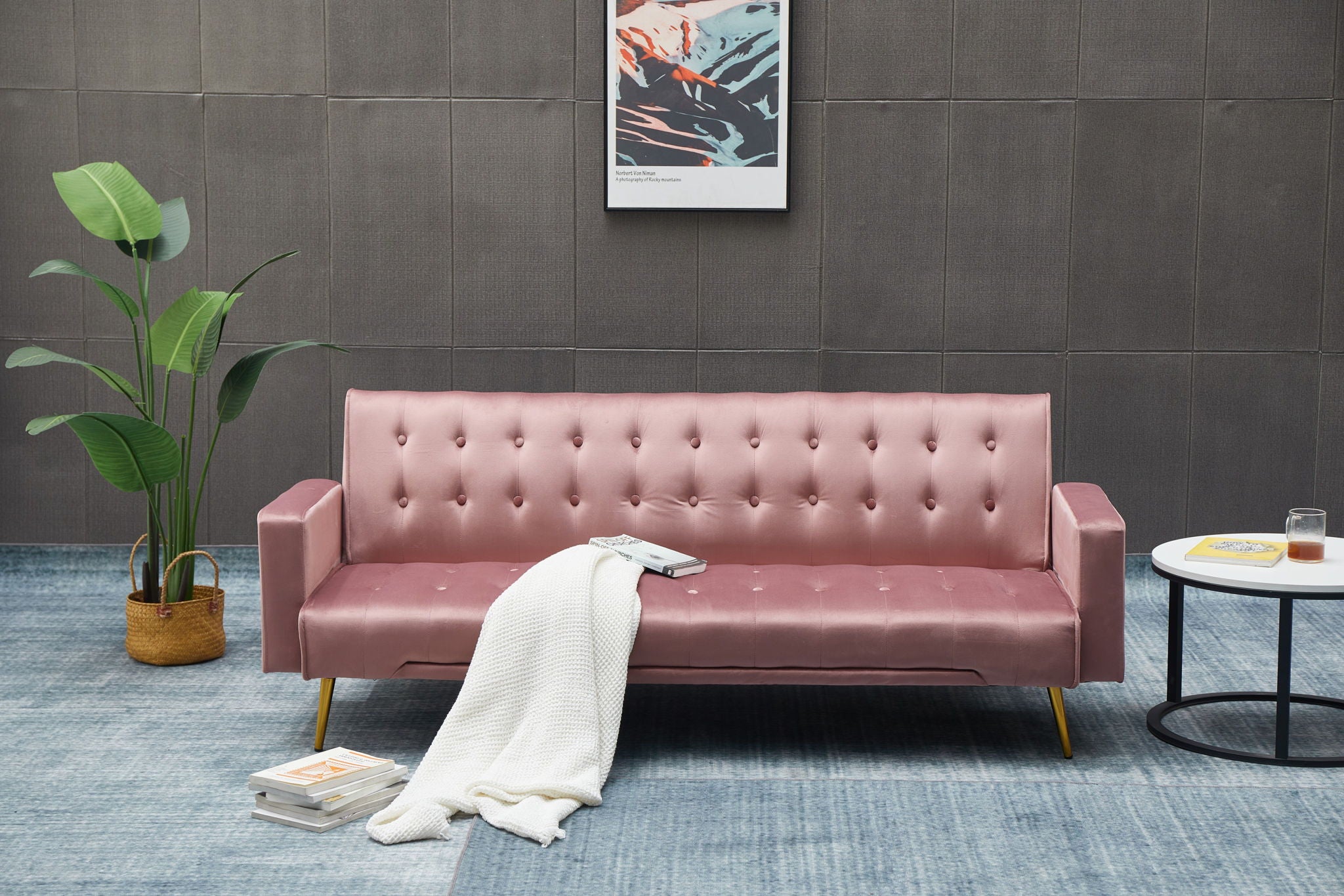 Comfort Compact Design Sofa Bed - Best Buy Furniture