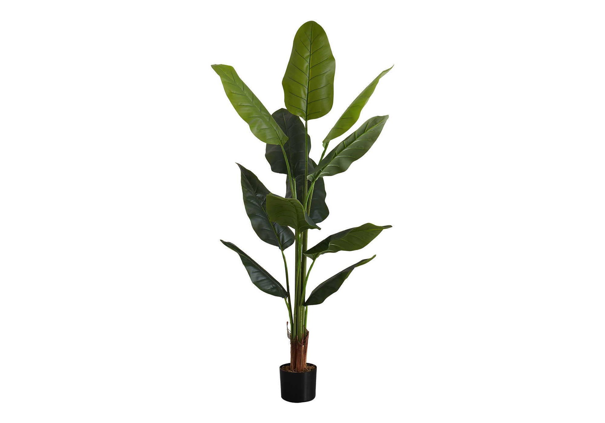 59" Tall, Artificial Plant, Strelitzia Tree, Indoor, Faux, Fake, Floor, Greenery, Potted, Real Touch, Decorative - Green / Black - Best Buy Furniture