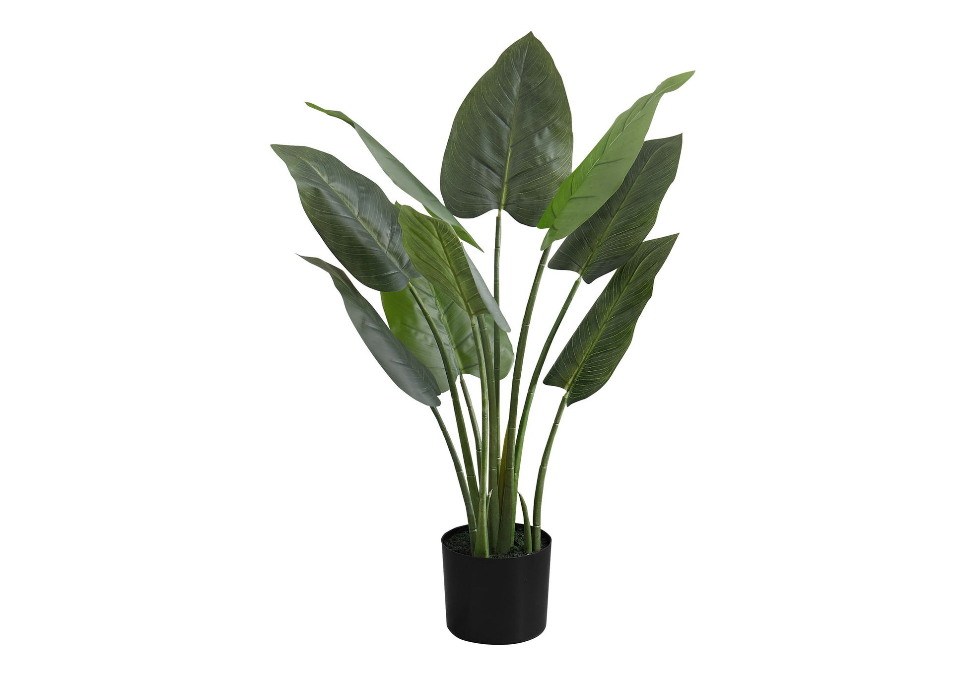 37" Tall, Artificial Plant, Aureum Tree, Indoor, Faux, Fake, Floor, Greenery, Potted, Real Touch, Decorative - Green / Black - Best Buy Furniture